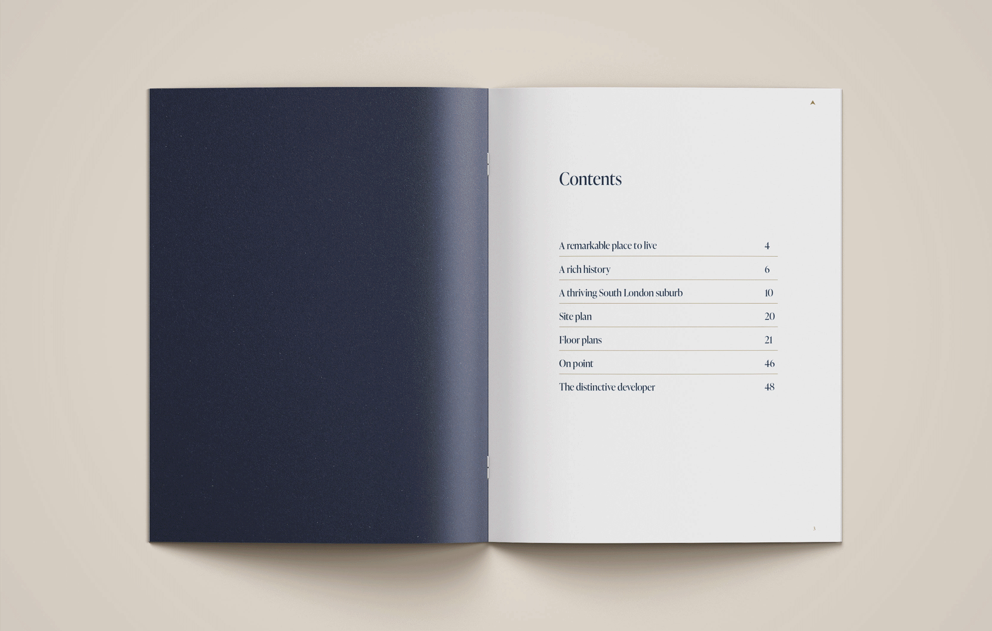 Large Project Gallery Image #1