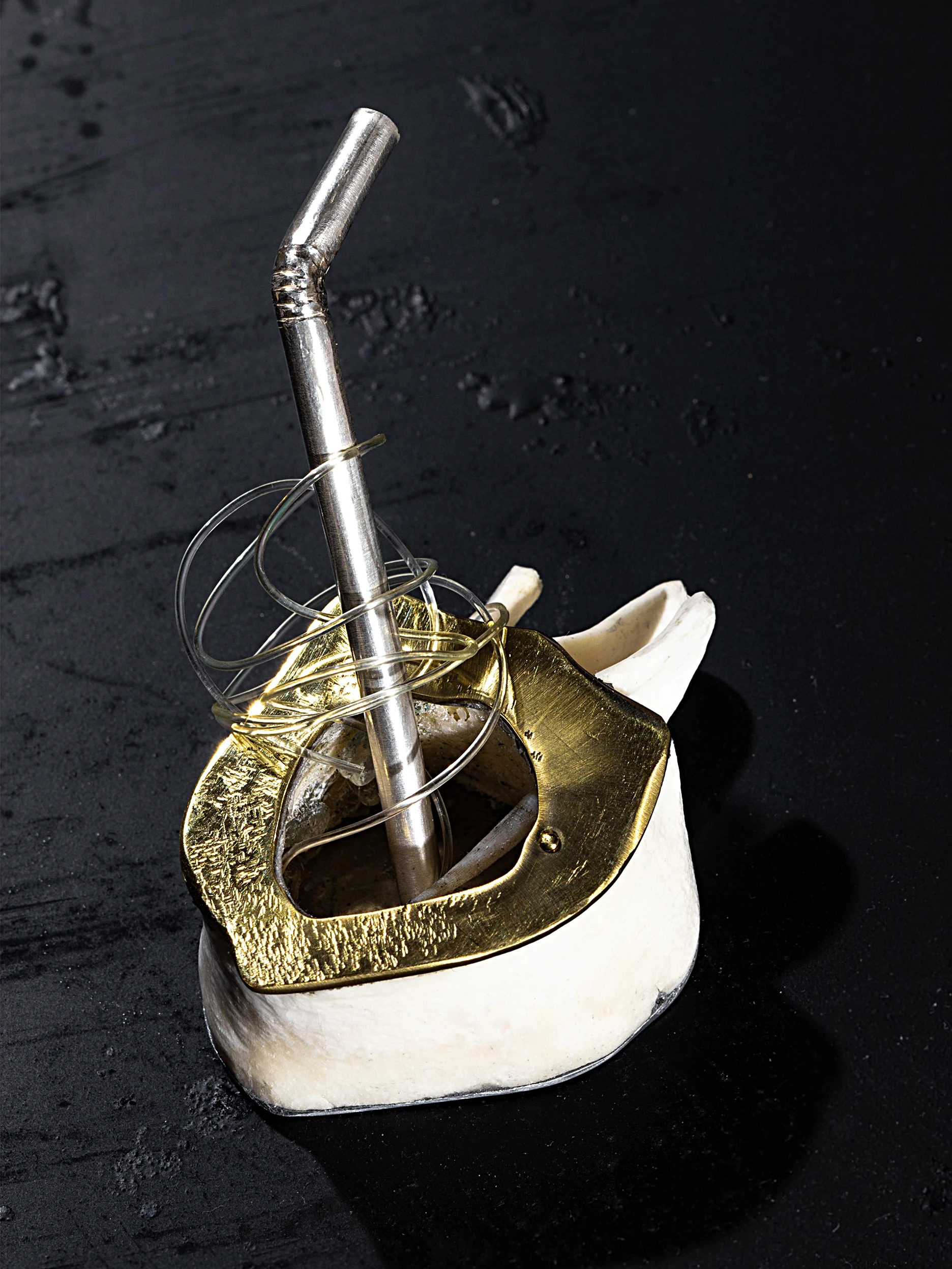spine whit straw AK contemporeryart sculpture popart straw in spine radical metaphor exploatation silver necklace