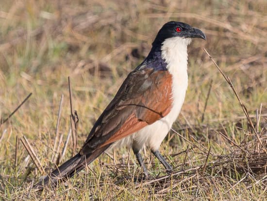 Sensory Safari Activities Namibia