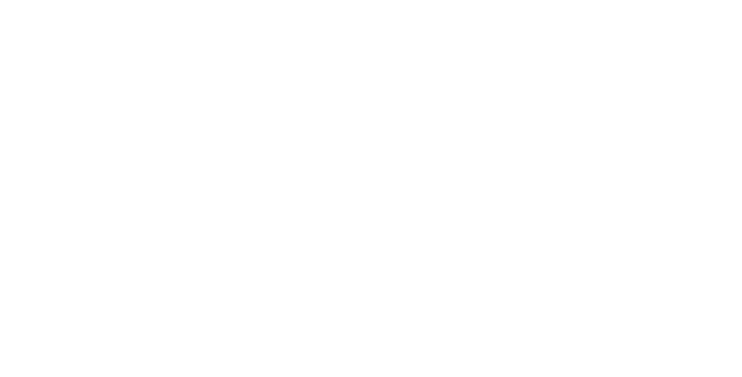 Logo NatUp