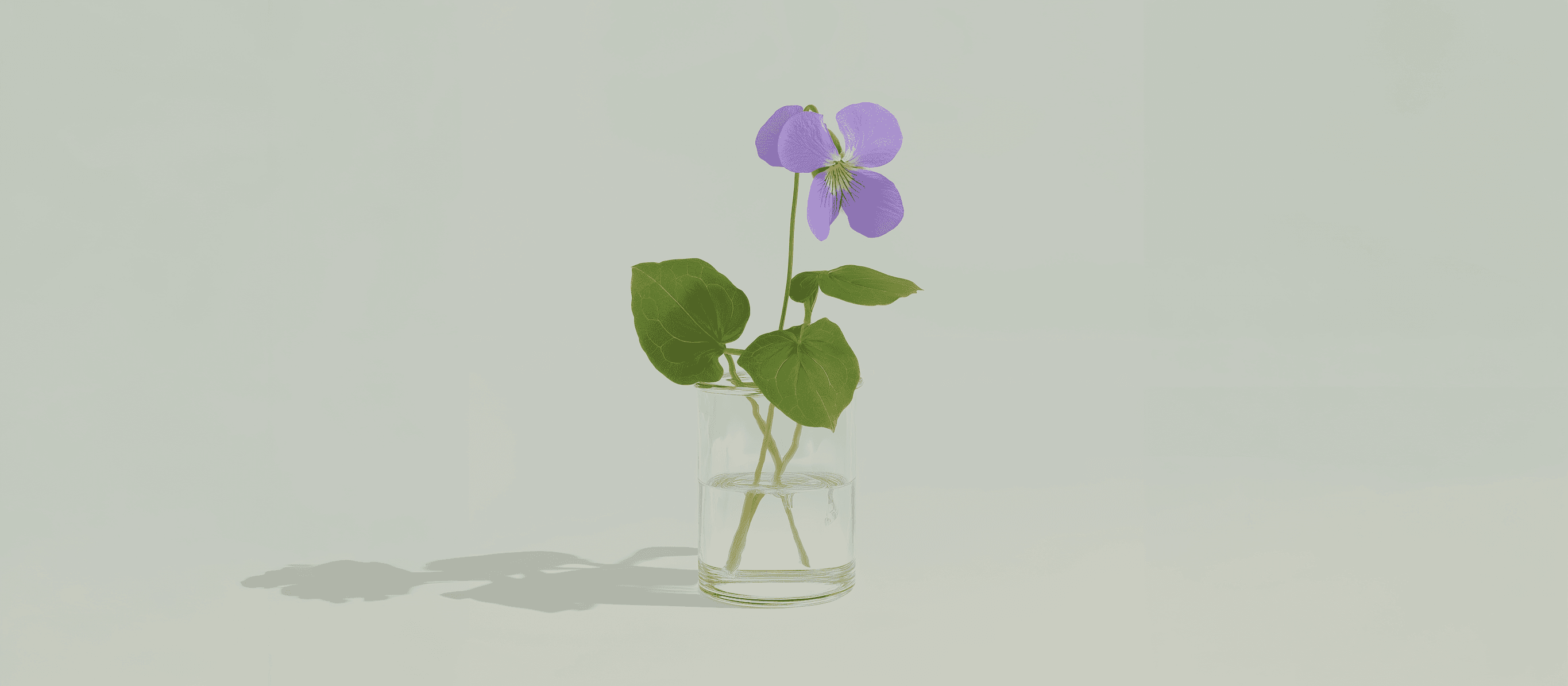 Violet flower in glass