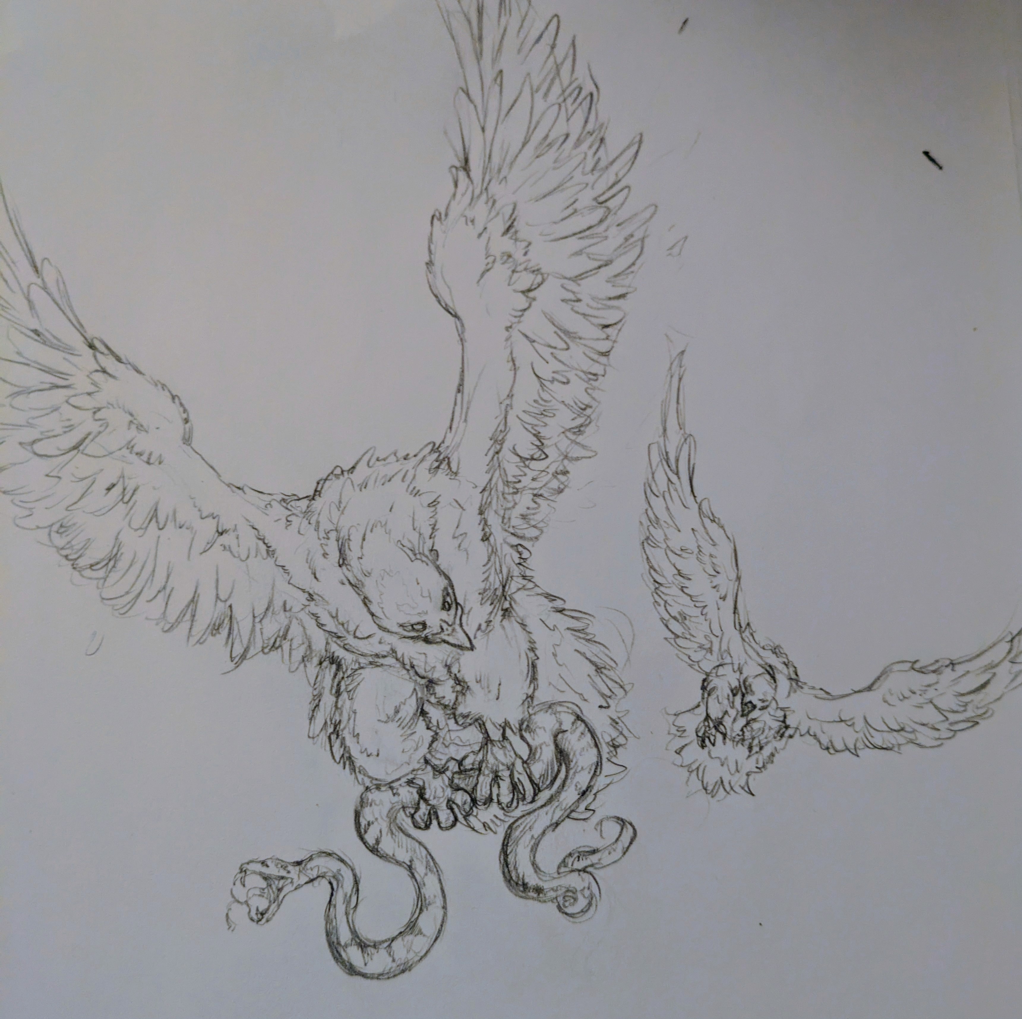 dessins_thibaud_reitzer_portfolio