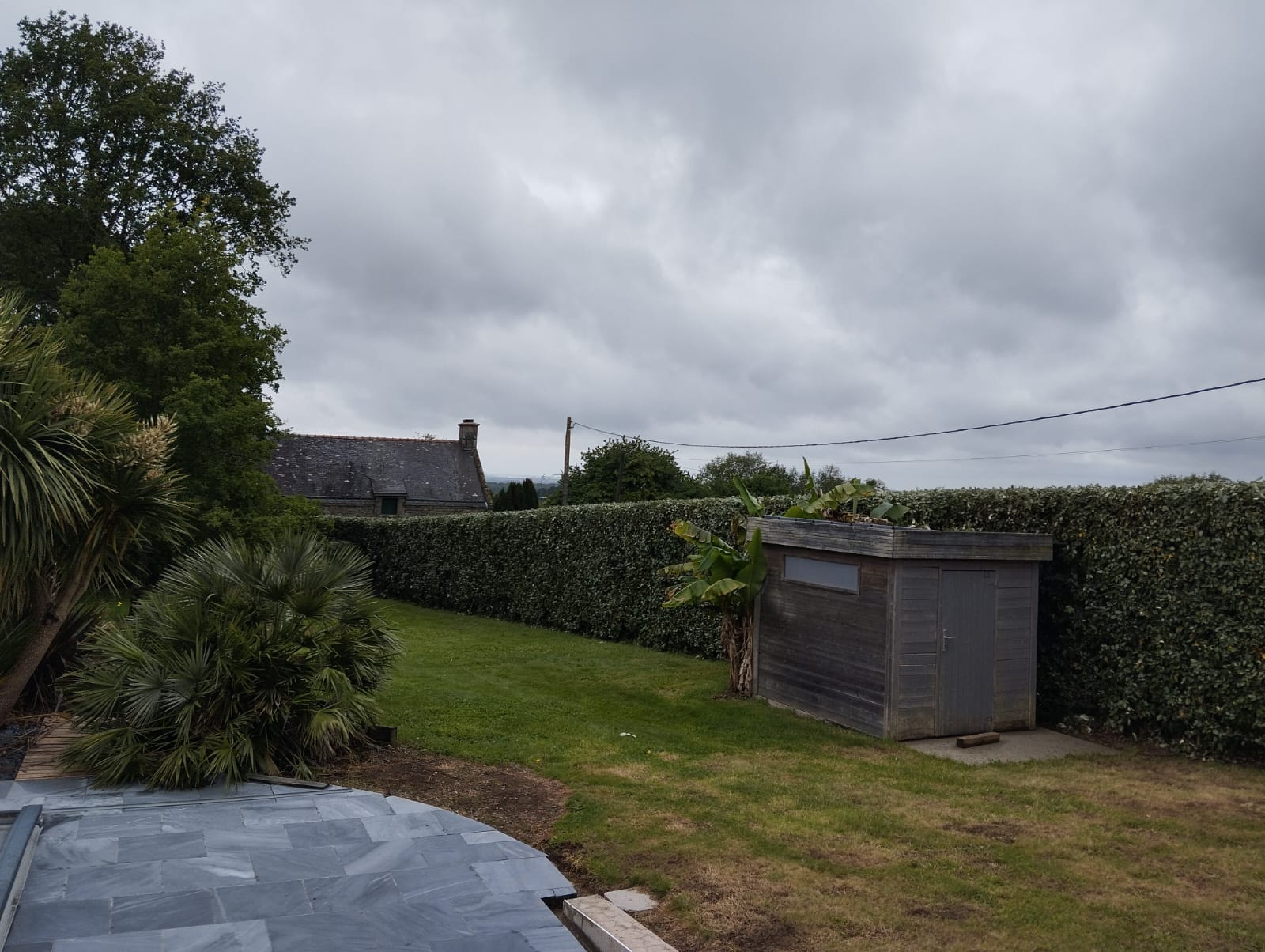 tonte pelouse surzur