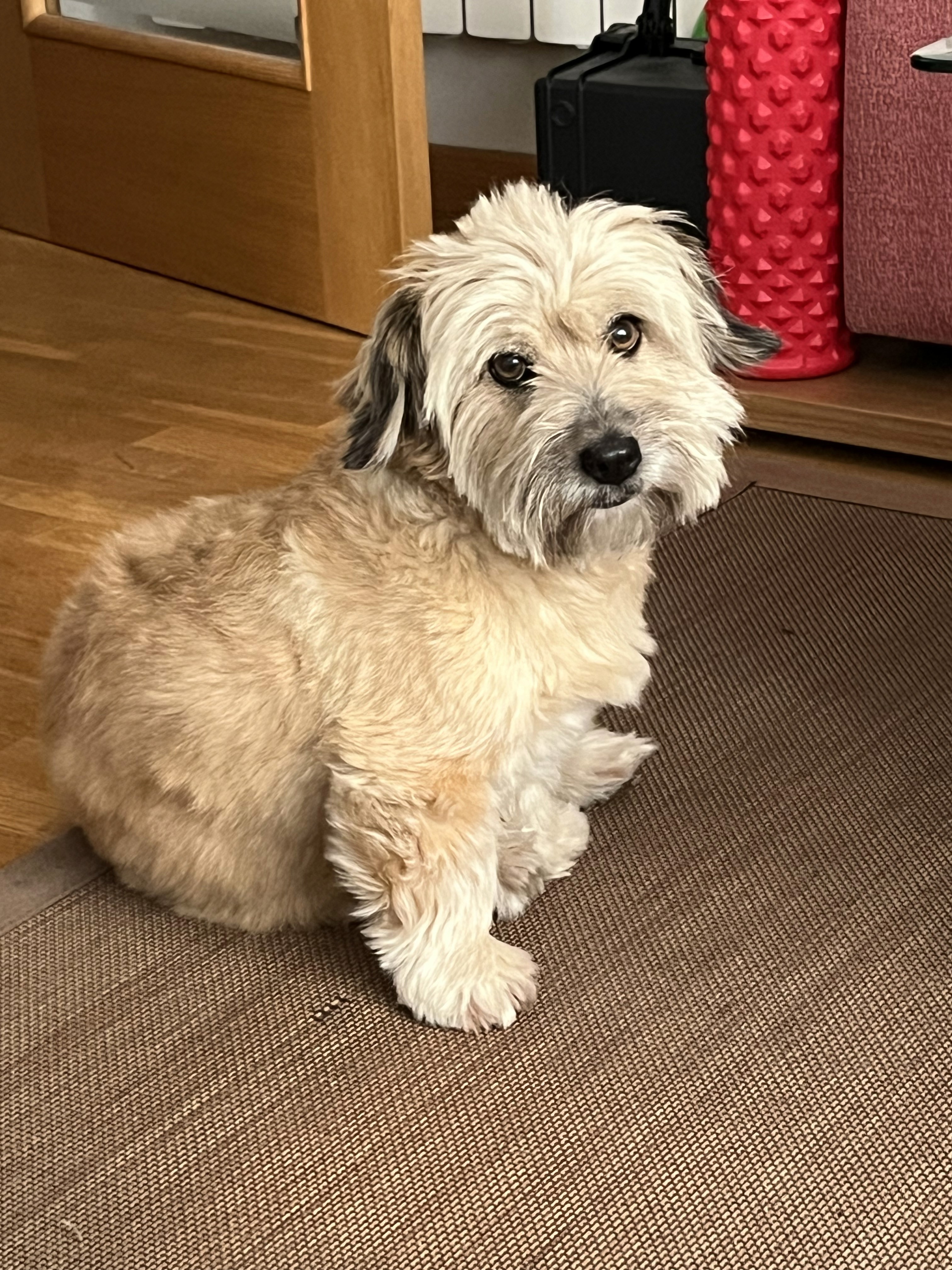 The image featured at the top of the about us page #2