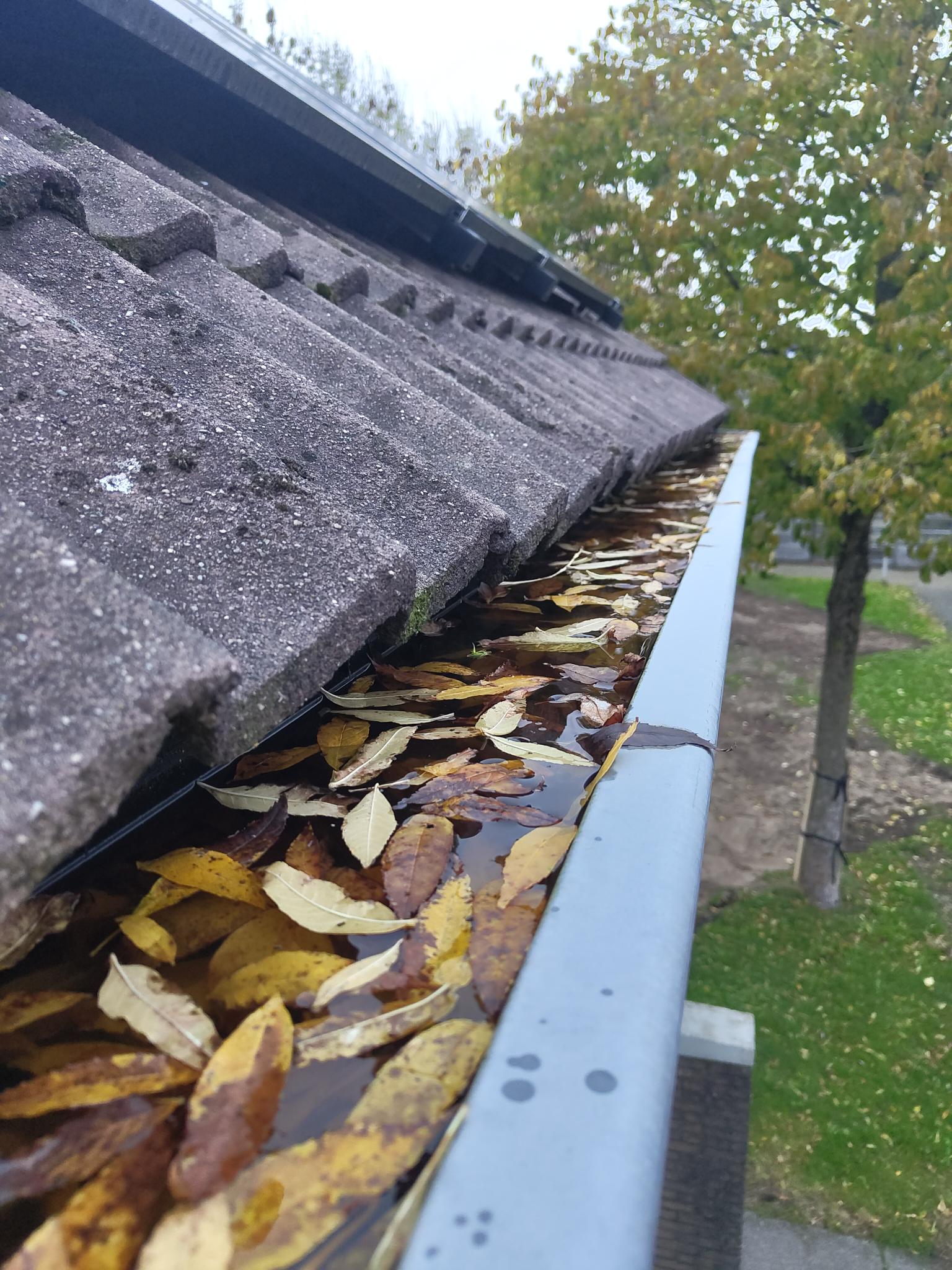 Dakgoot schoonmaken Gorinchem