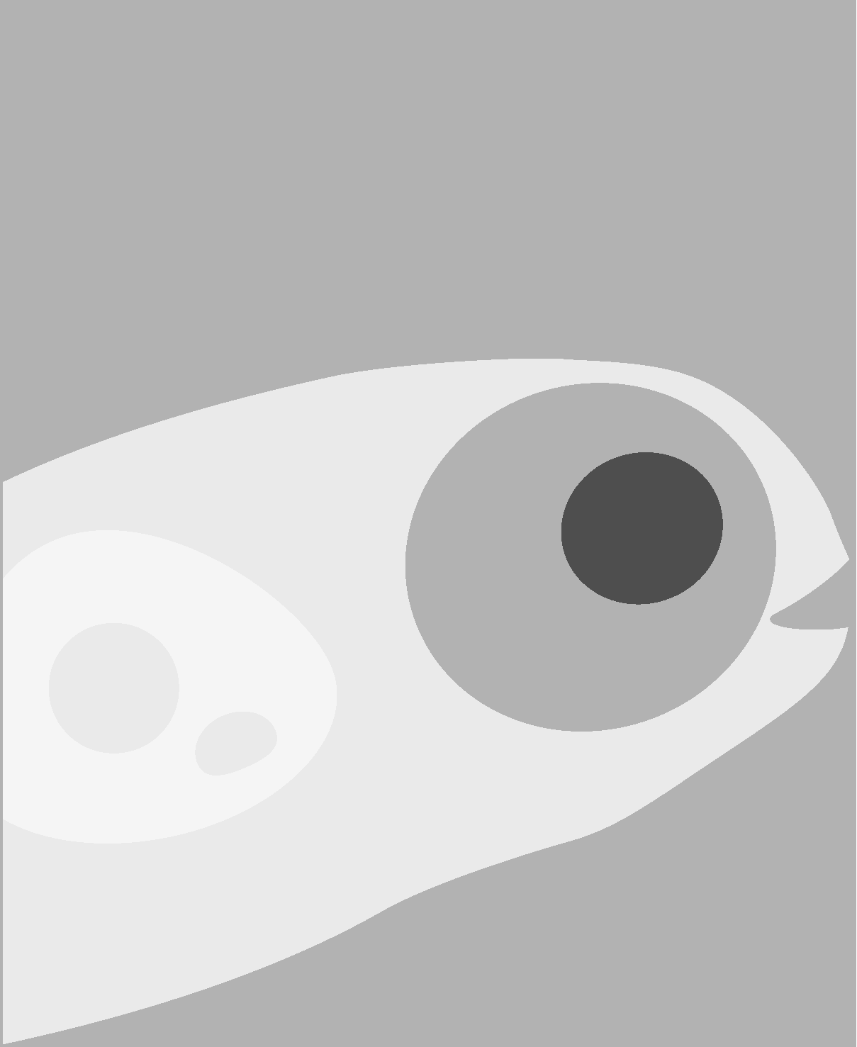 Image of Dr. Yunlu Zhu.