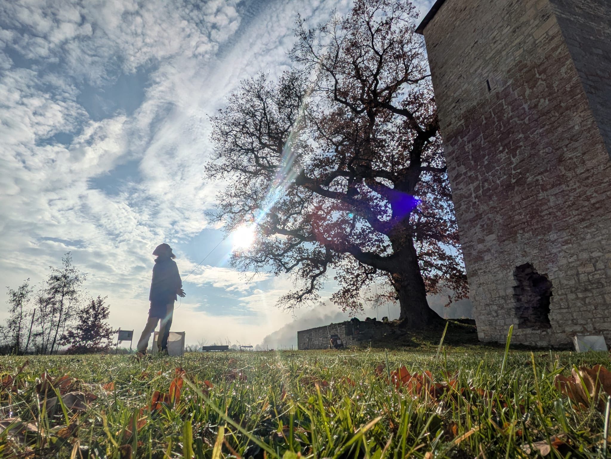 baumfällung rosenheim Bad Aibling miesbach