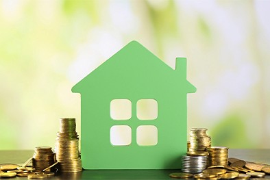 Close-up of lush, dark green leaves, some glossy and wet, against a muted background.