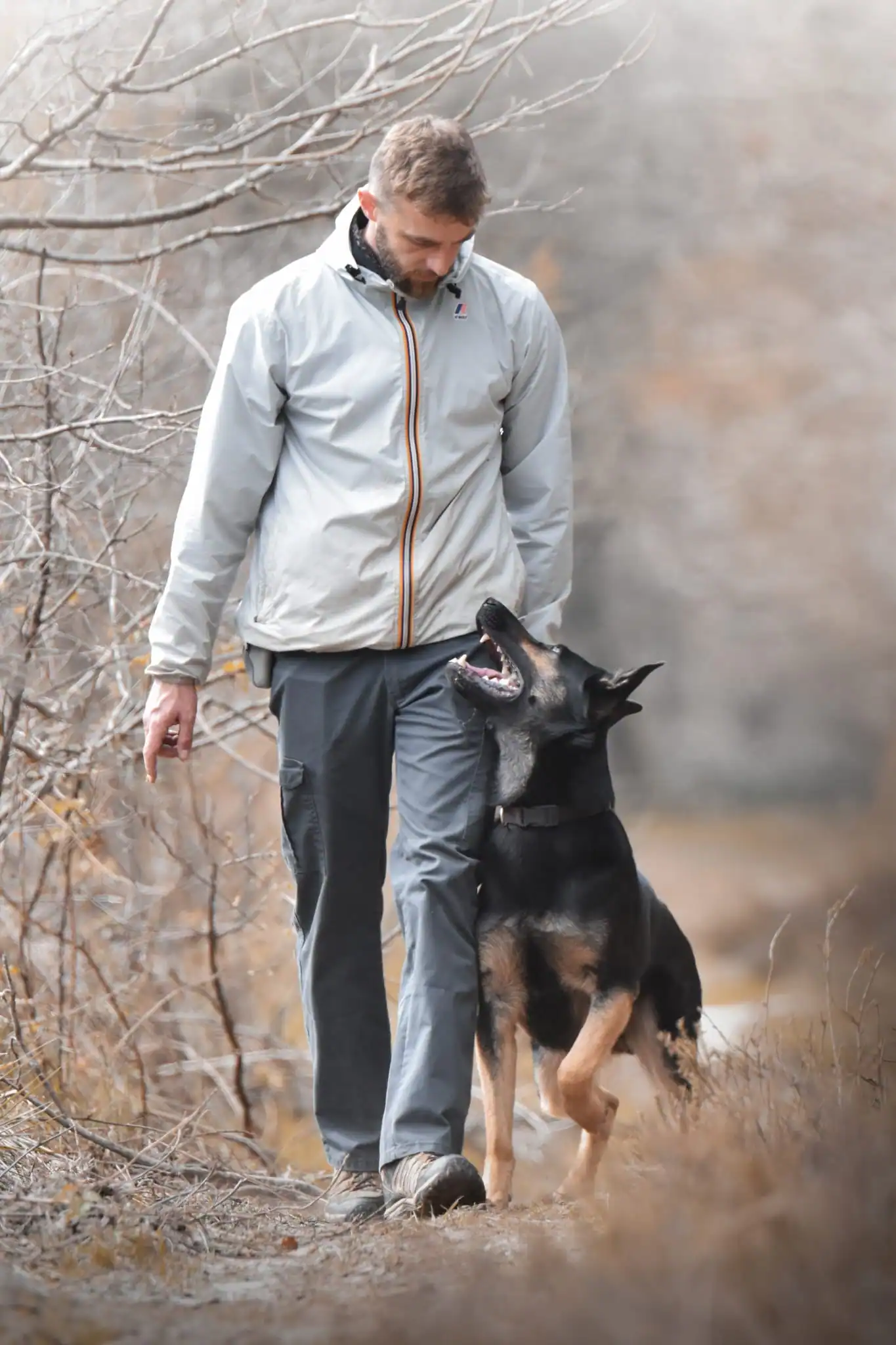 l'educateur canin de Fidel avec un berger allemand en marche au pied, les yeux dans les yeux
