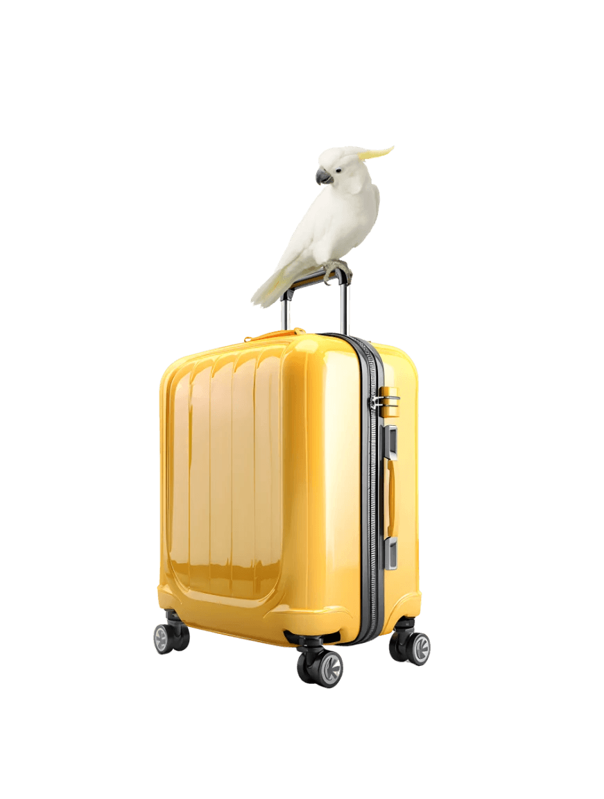 Vancouver storage for luggage and bags