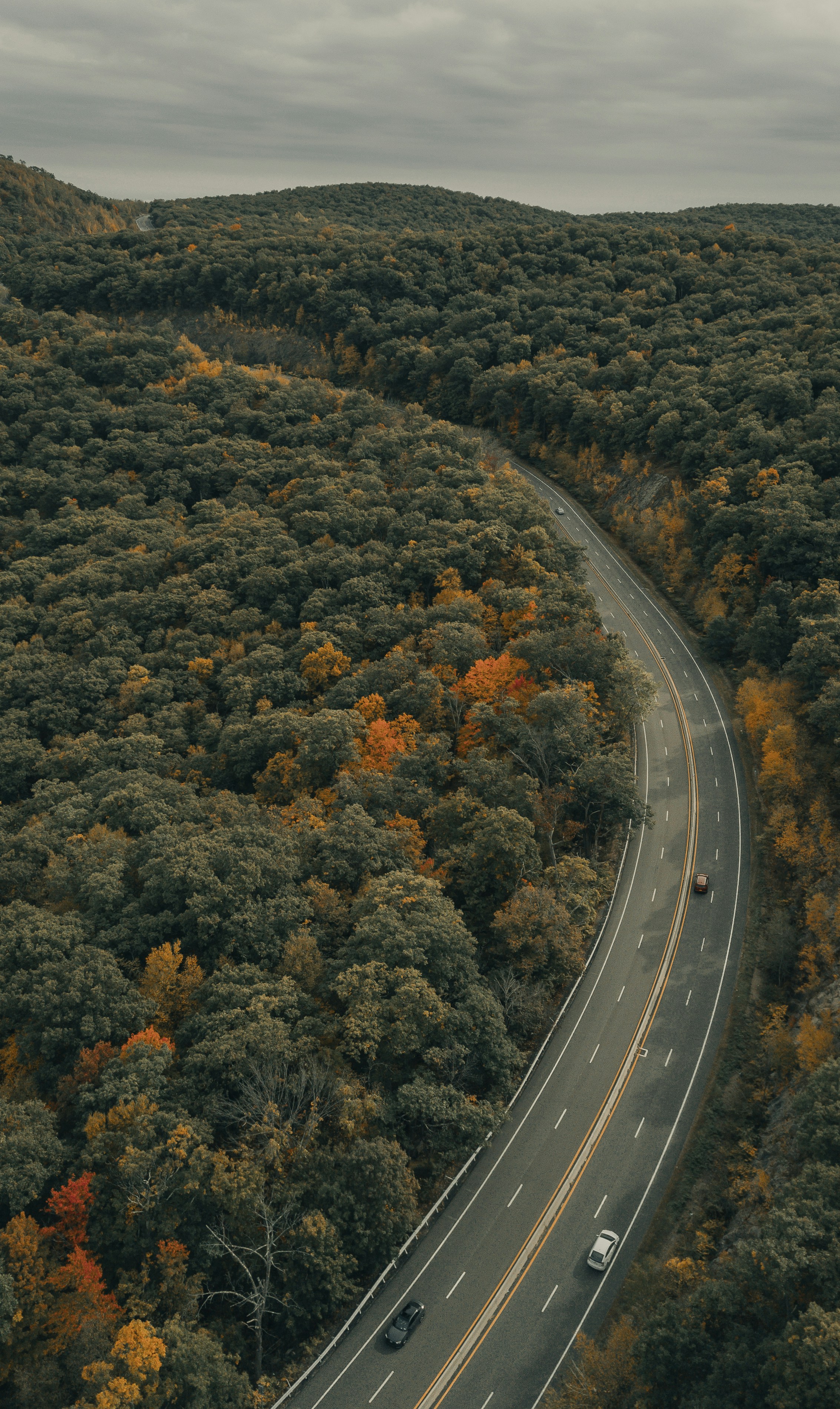 a winding road in the middle of a lush green forest