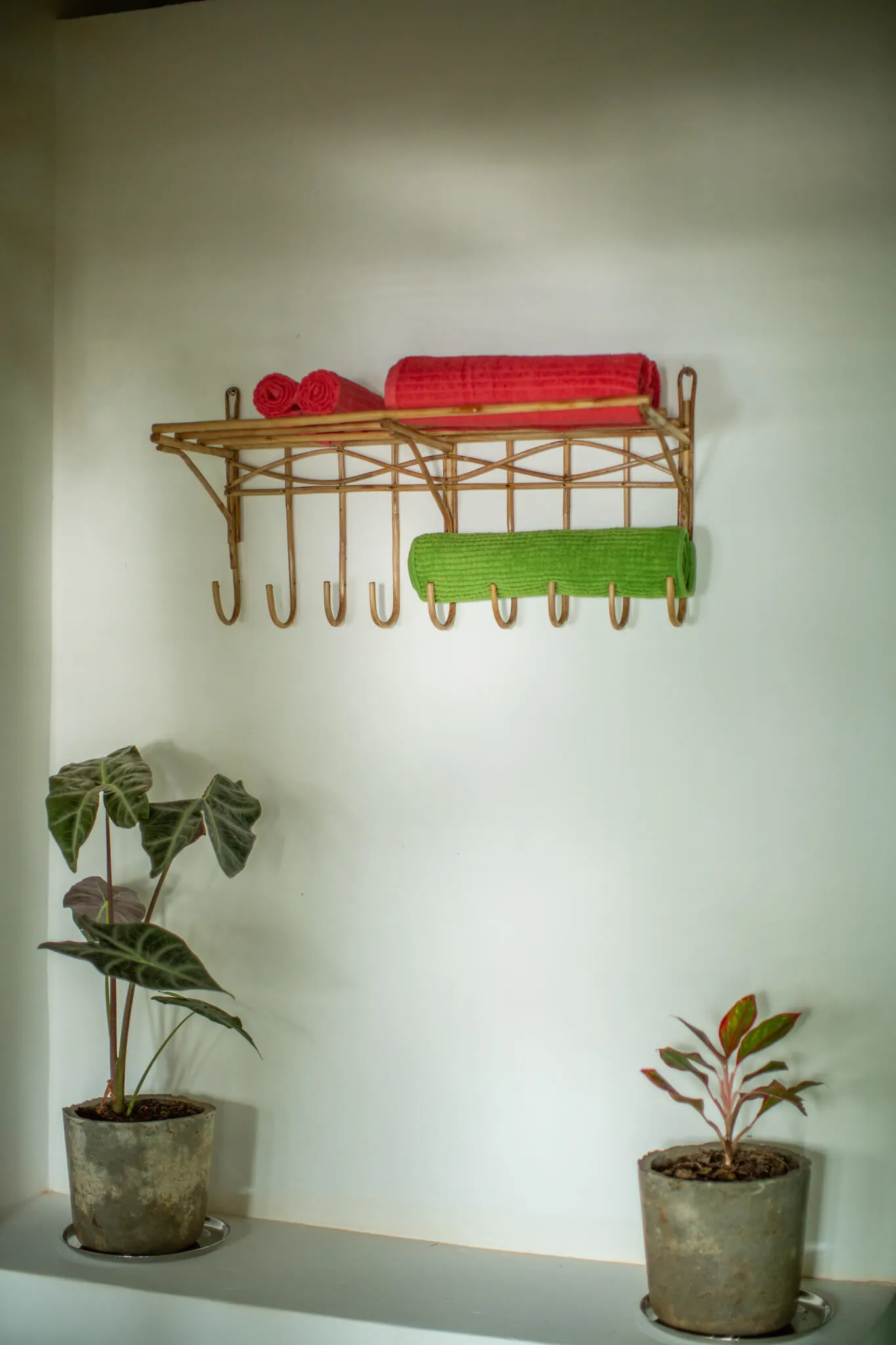 Towel rack and potted plants — cottage details at Casa Jaali
