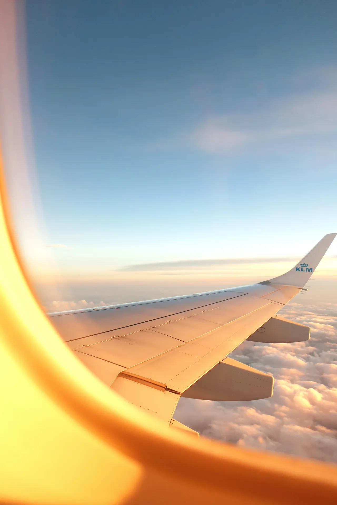 Looking out of plane window