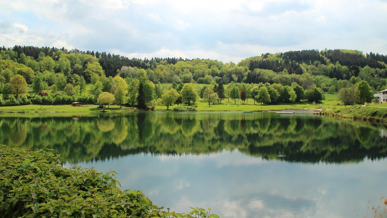 baumpflege Langenfeld