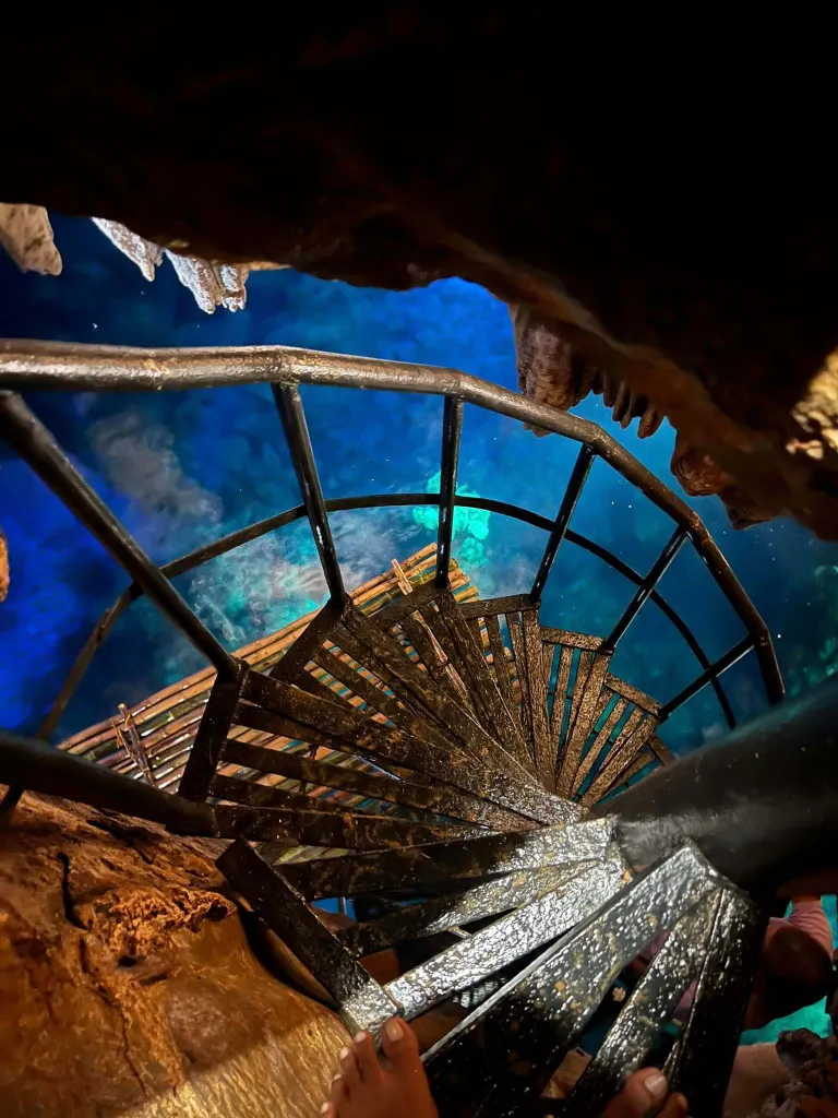 canal between cherry blossom trees