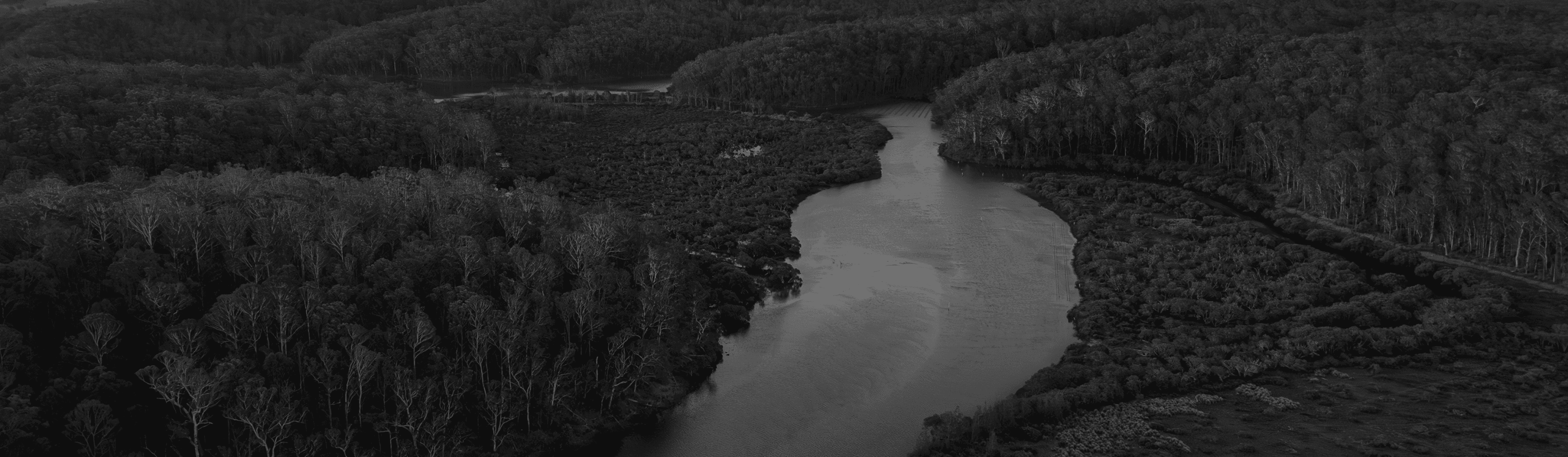 Adaptus Banner Image