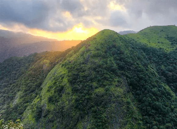 Stunning view of Silent Valley National Park at sunset, a UNESCO-listed biodiversity hotspot in Kerala, India, featuring lush green mountains and misty skies