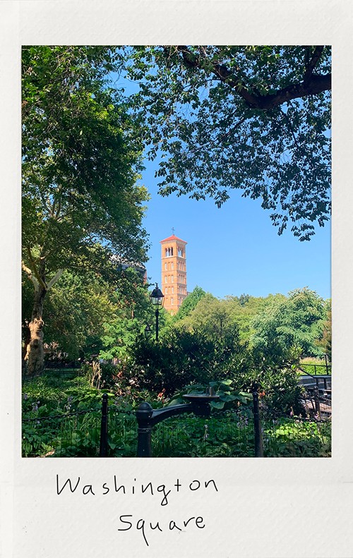 Park Polaroid - My Dao Designer Portfolio