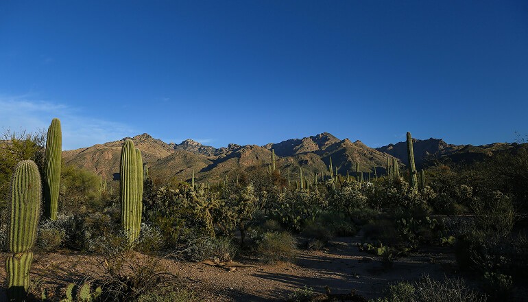 Arizona desert half shaded