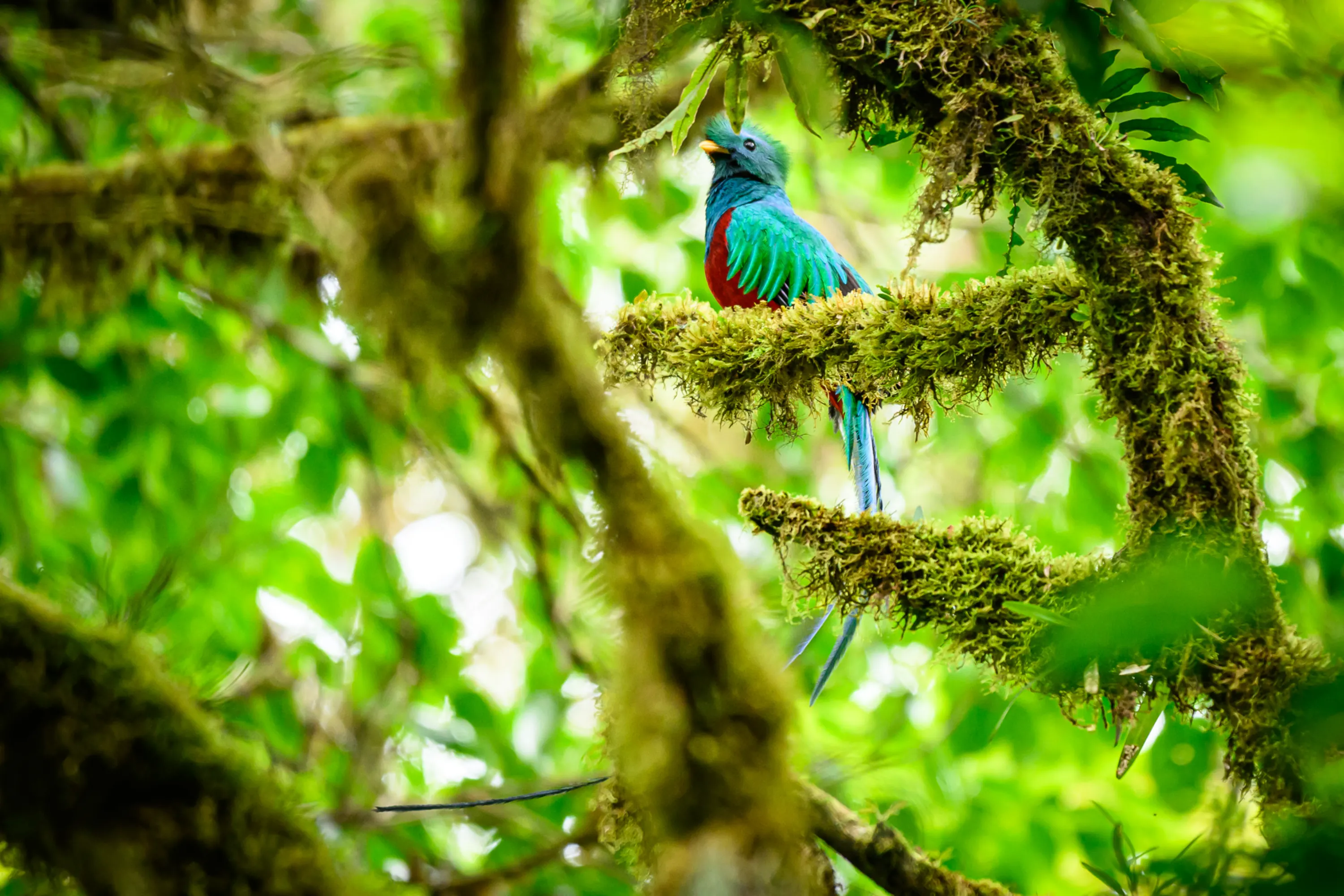 Wilderness & Wildlife 01