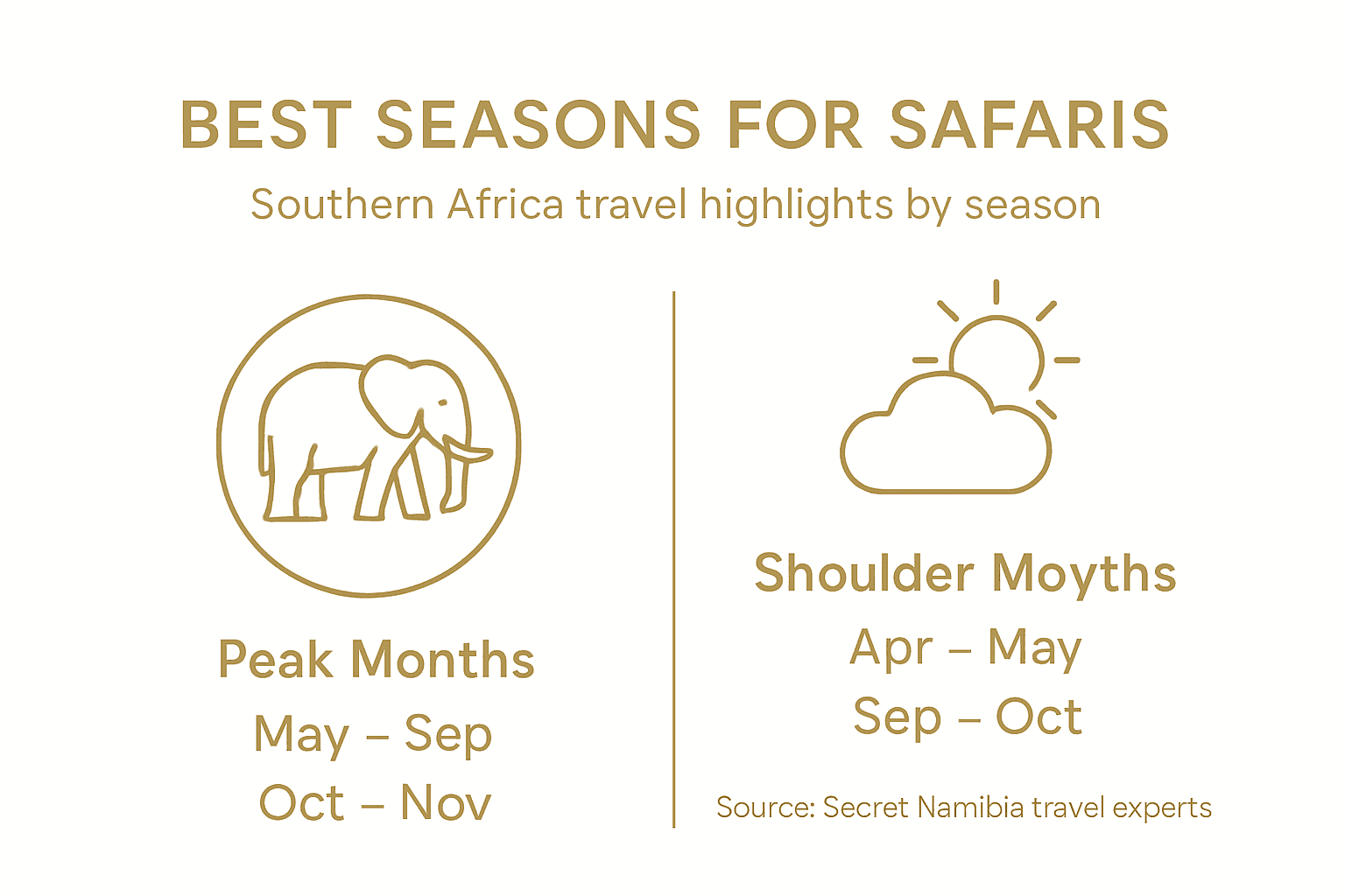 Infographic summarizing best safari seasons in Southern Africa