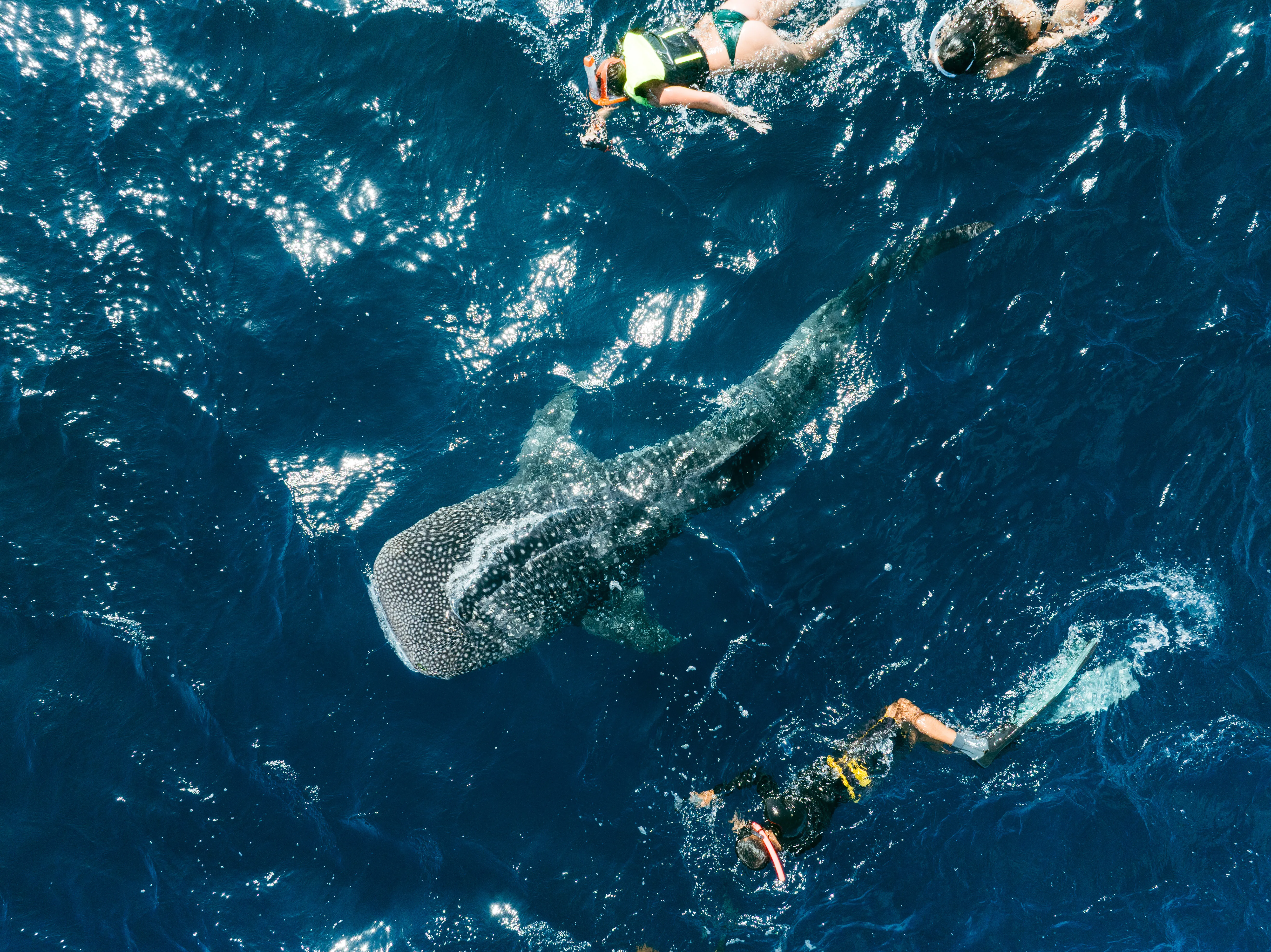 tent at the field during night