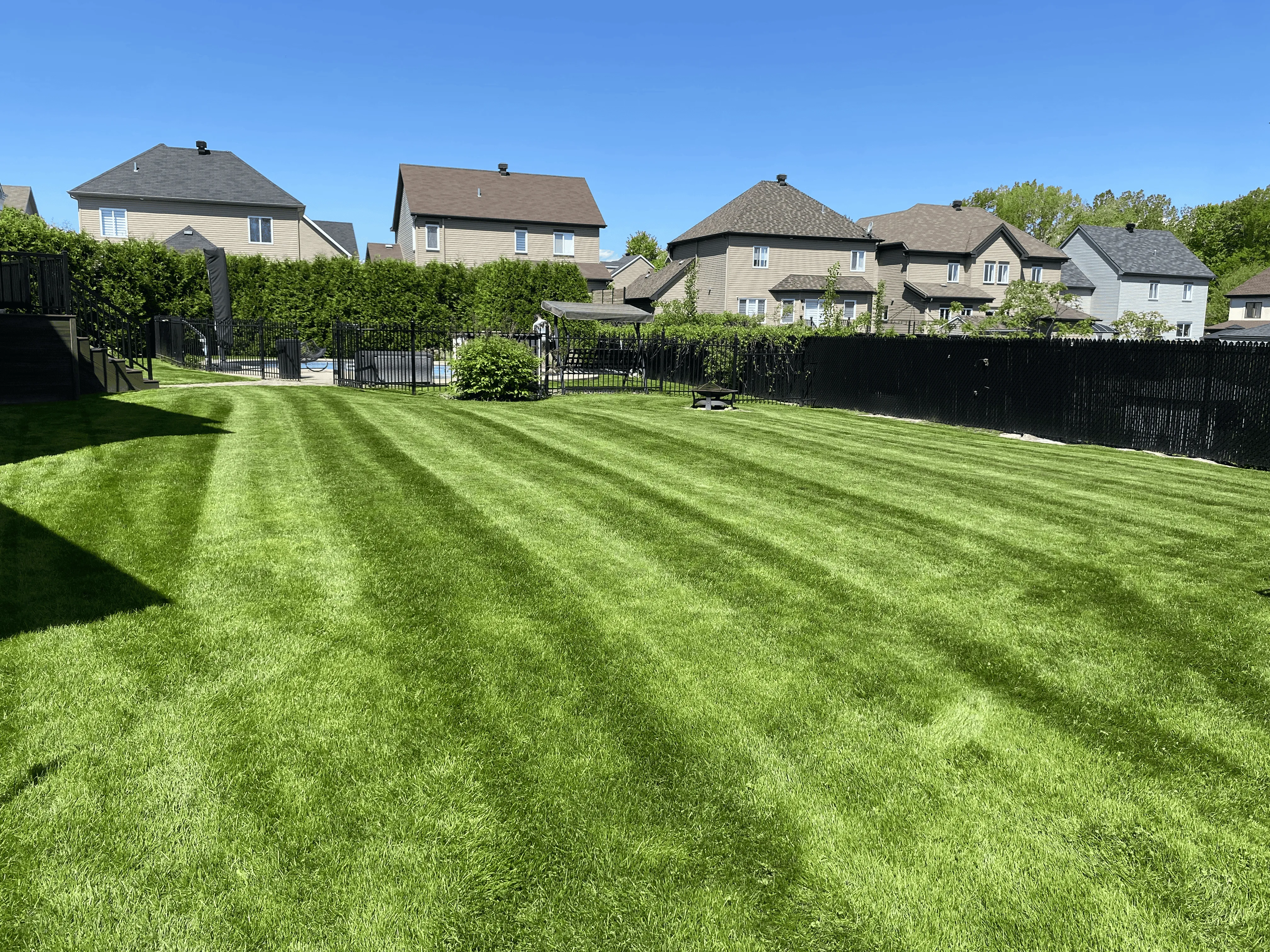 Pelouse verte parfaitement tondue par Pelouse Men Paysagement dans un quartier résidentiel.