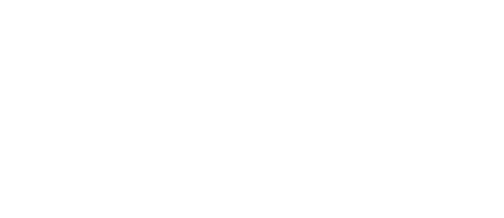 Zelle Logo