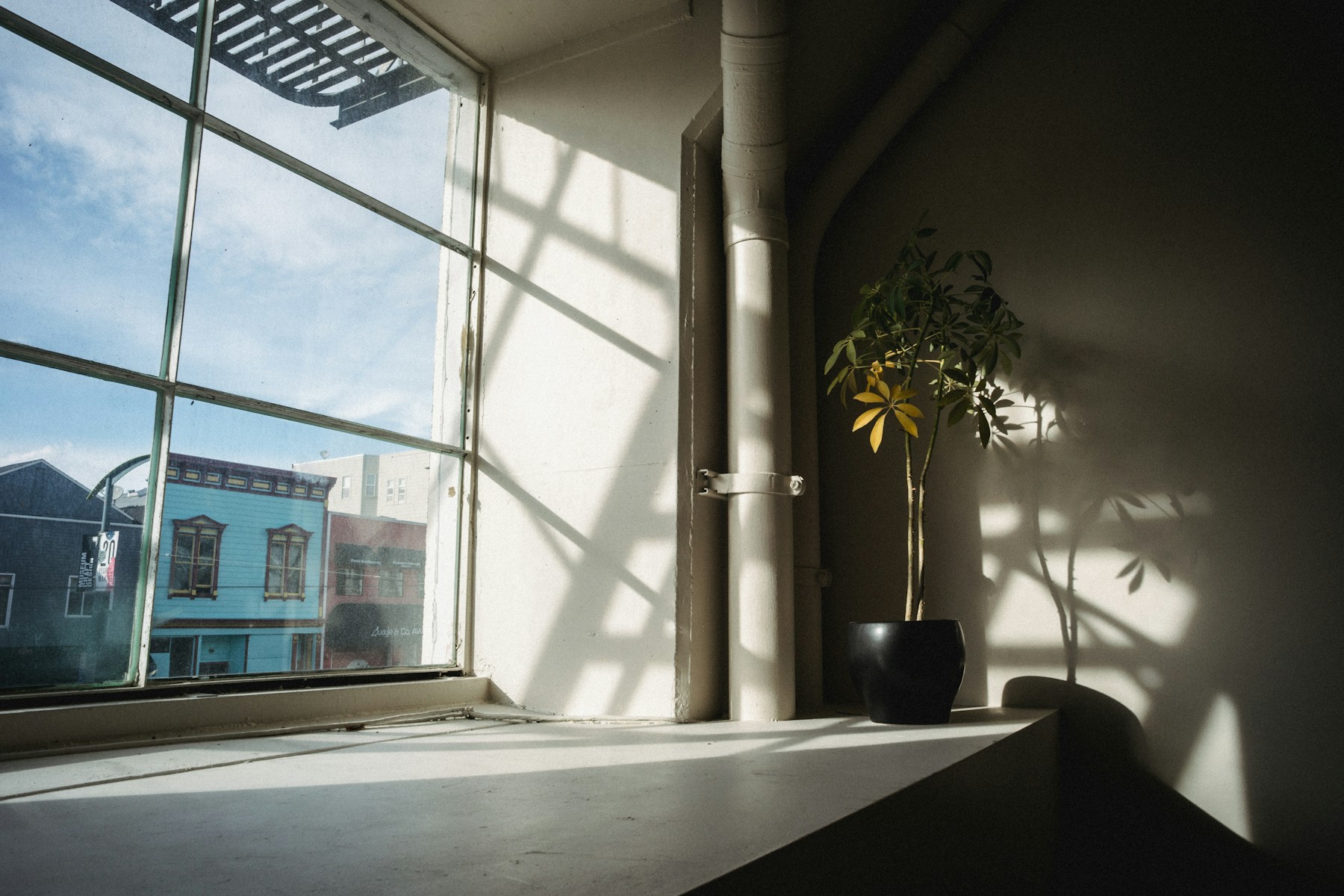 Fenêtre moderne avec lumière naturelle