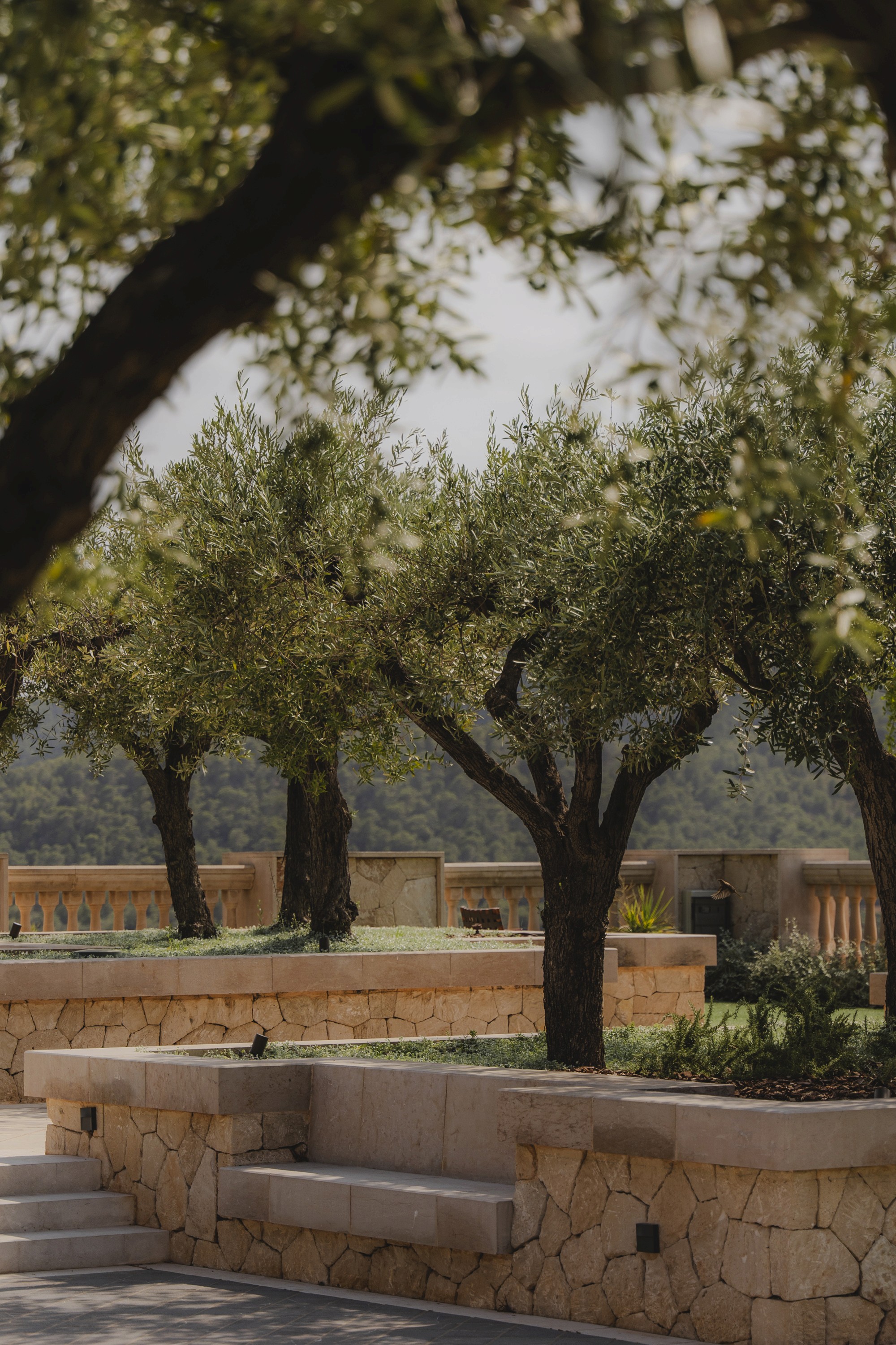 Restaurante Tapas Mallorca