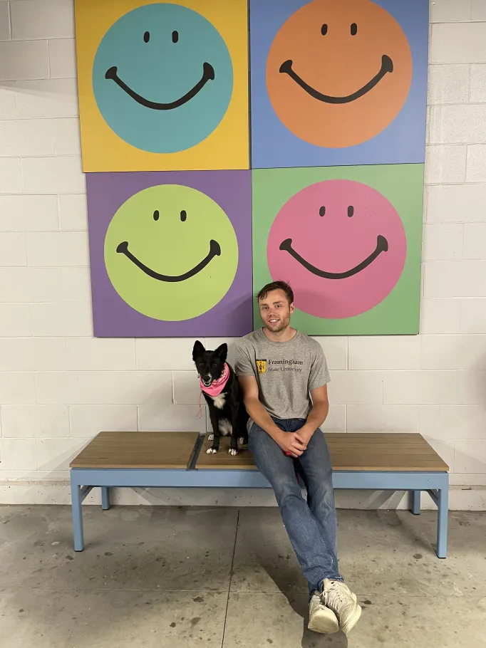 Dog smiling on bench.