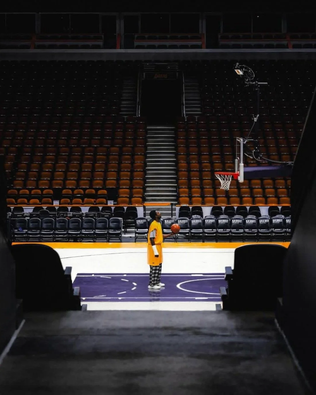 A fluffy gray rabbit rests on a floral chair.