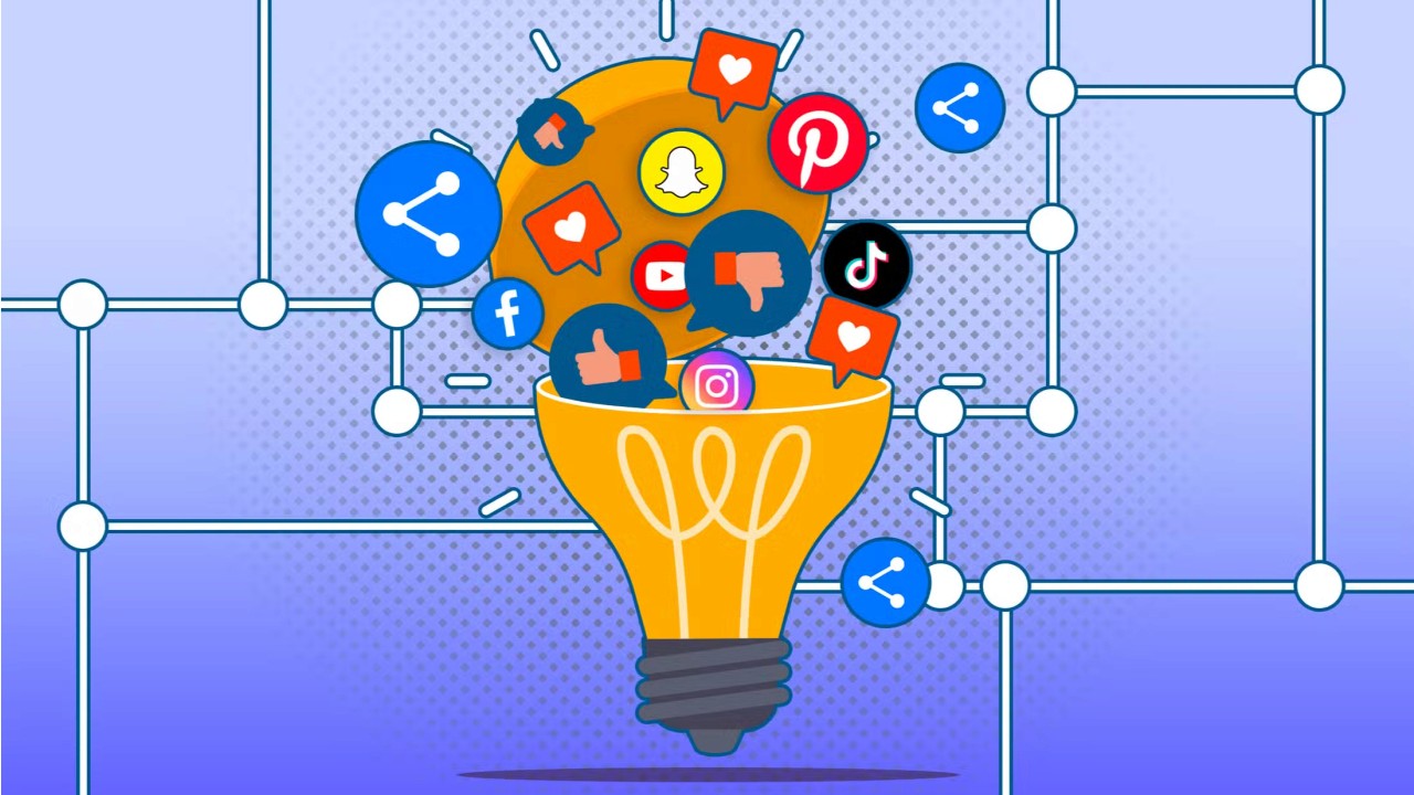 social media algorithms