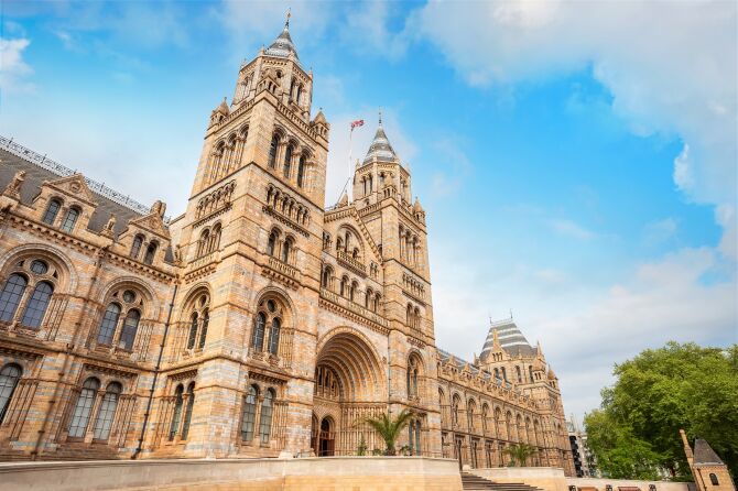 Visit the Natural History Museum