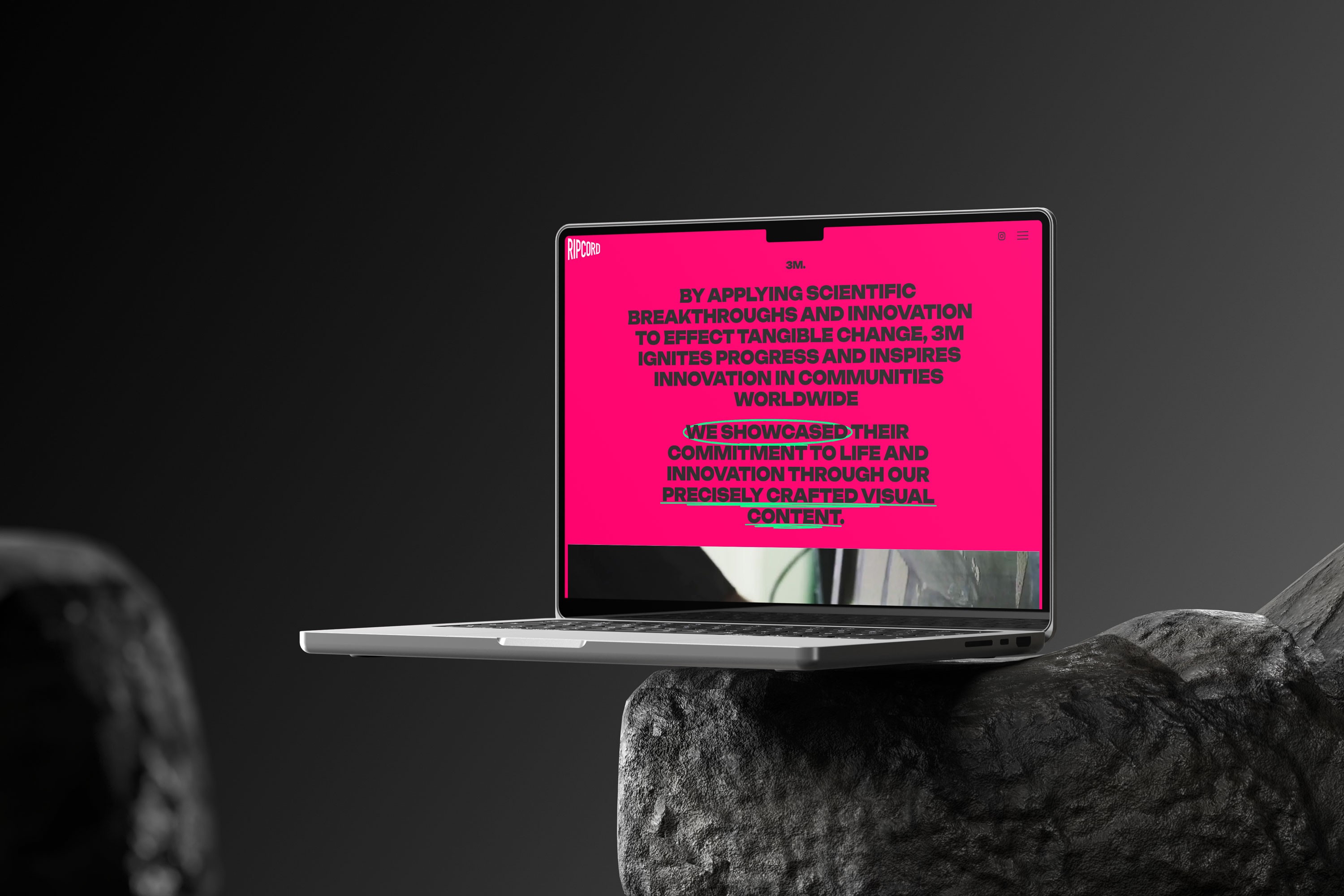 Ripcord Website Screenshot