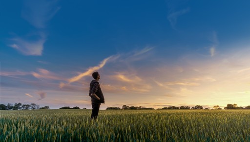 Picture of a person standing in a field