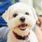 Review Image 02