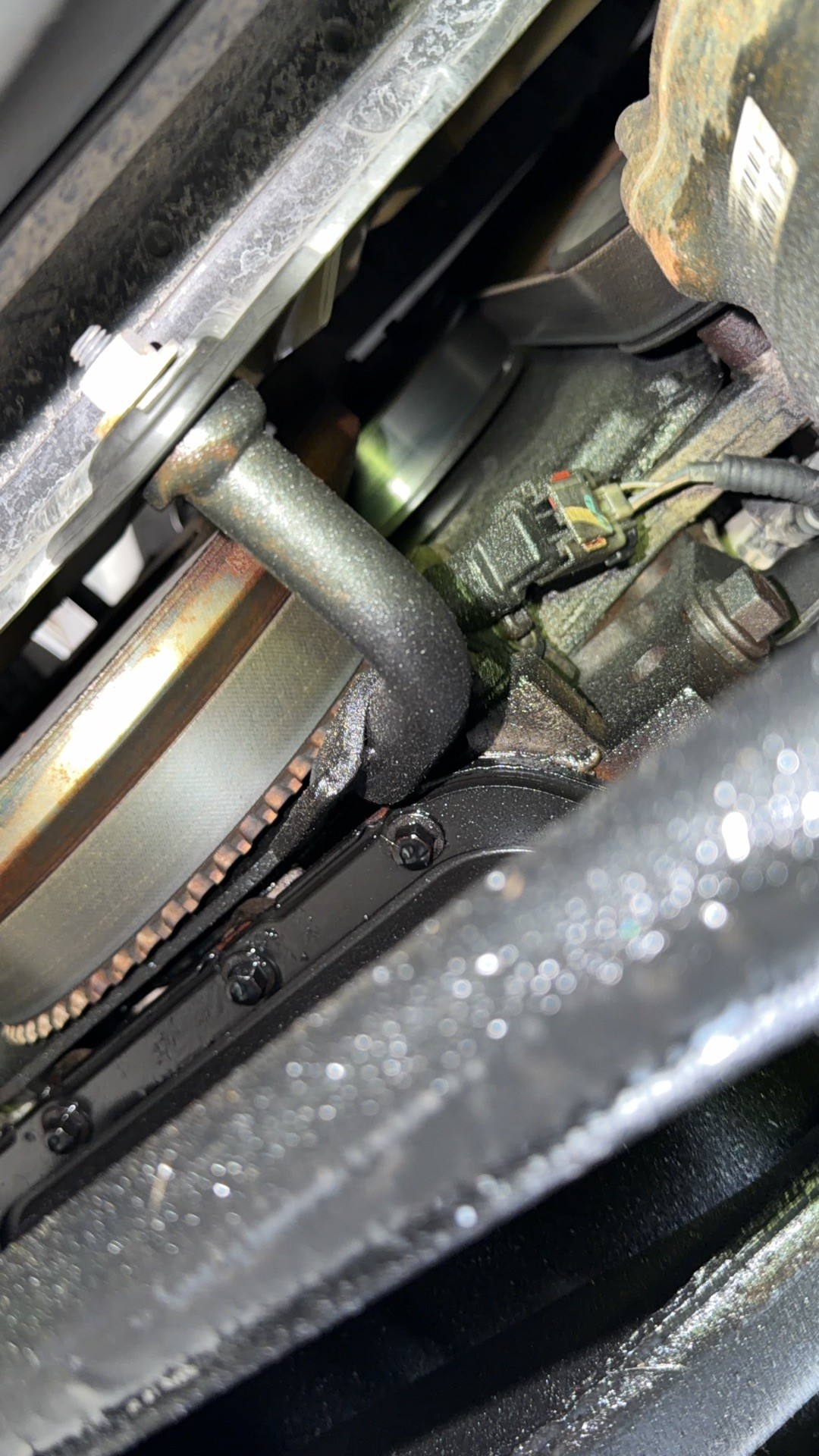 Close-up of the timing gear cover area with oil residue around the cover and fasteners
