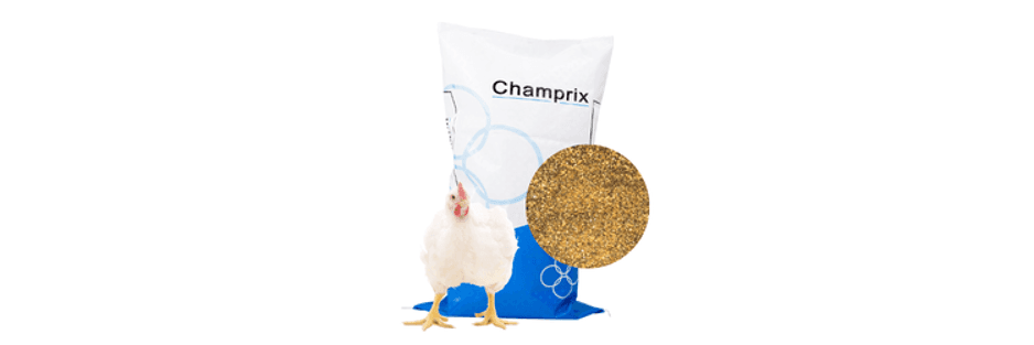 Champrix Broiler Feed Solutions