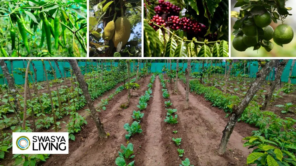 Sustainable Farming Can Help Conserve Biodiversity