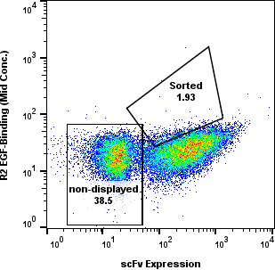 EGF yeast display FACS R2 flow plot with non-displayed and sorted gates