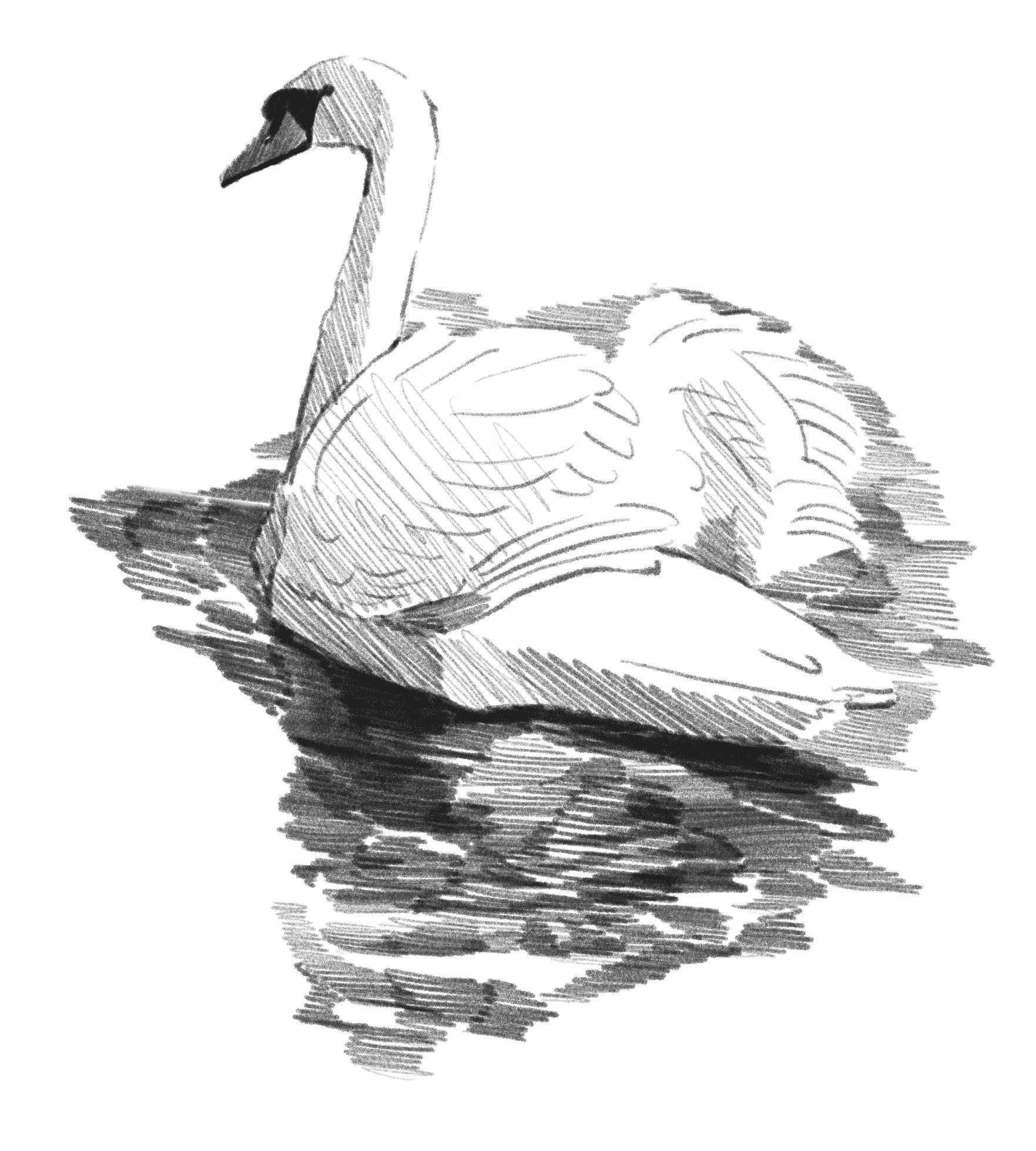 Fossum Bruk - Illustrasjon av en svane