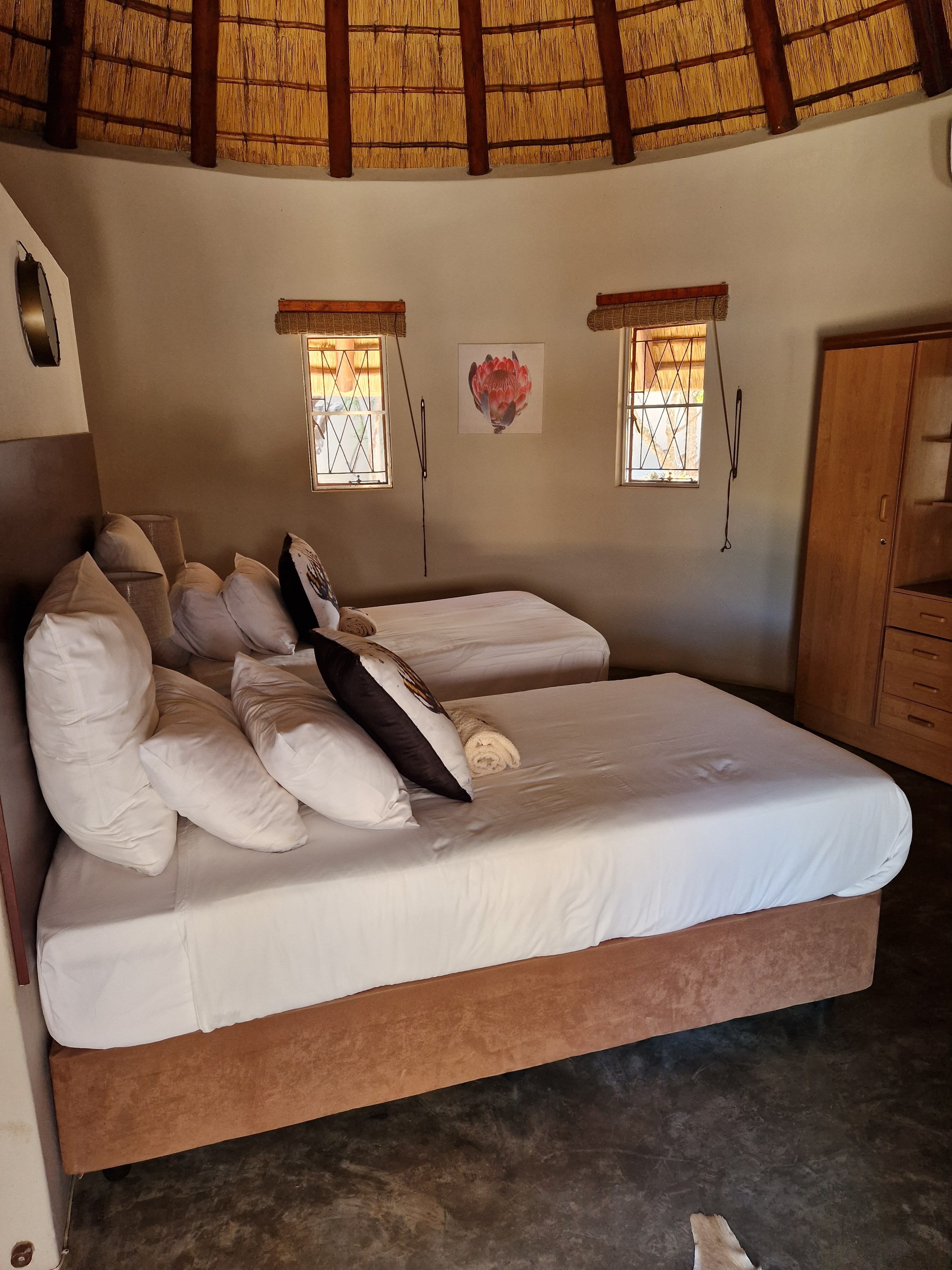 Kilimanjaro Elephant Ride, Arusha, Tanzania. En kvinna sitter och läser utanför ett tält uppsatt i vildmarken.