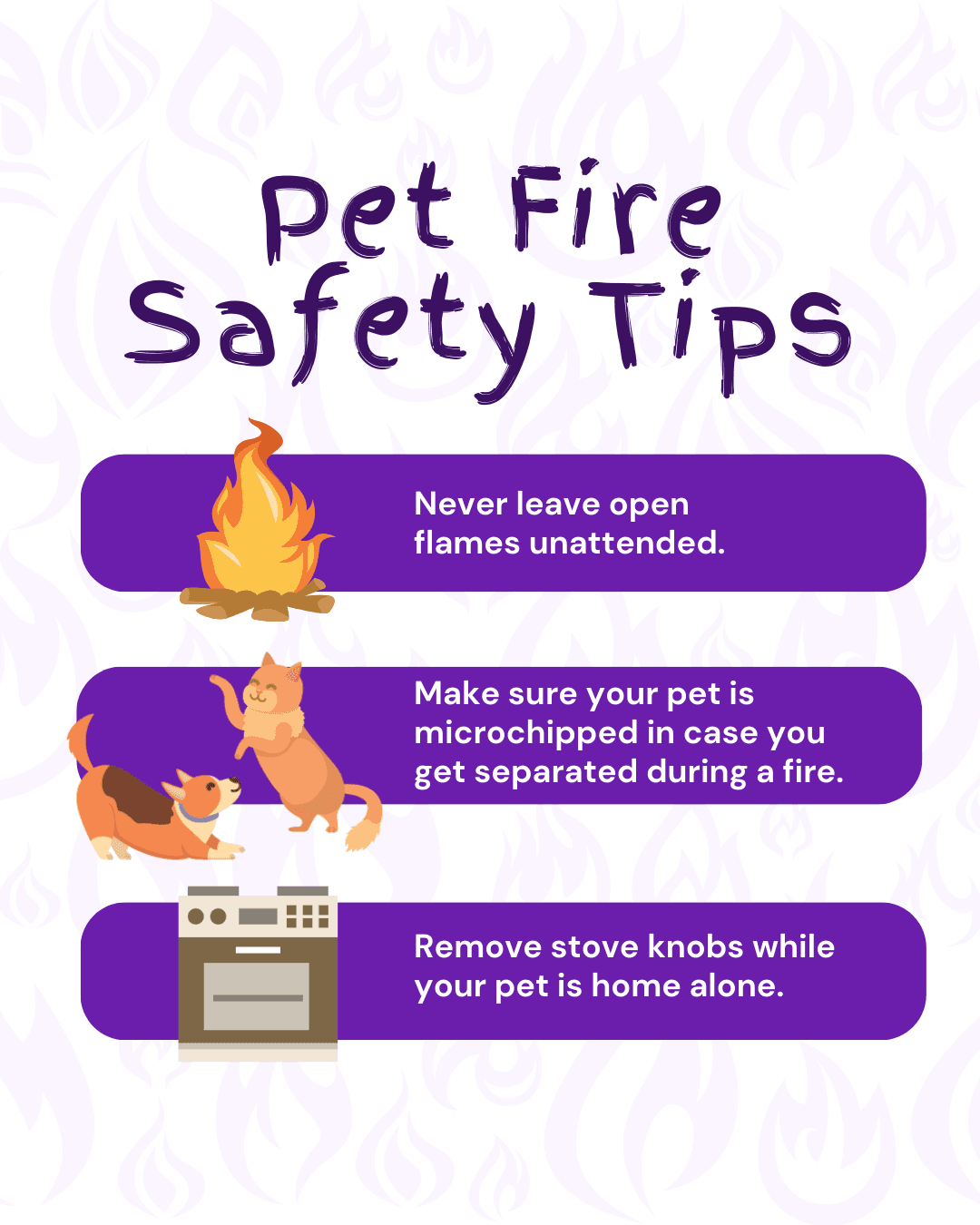 National Pet Fire Safety Day