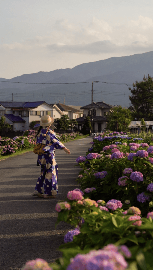 Person posing in front of hydrangeas while wearing a kimono in Kaisei Ajisai Village