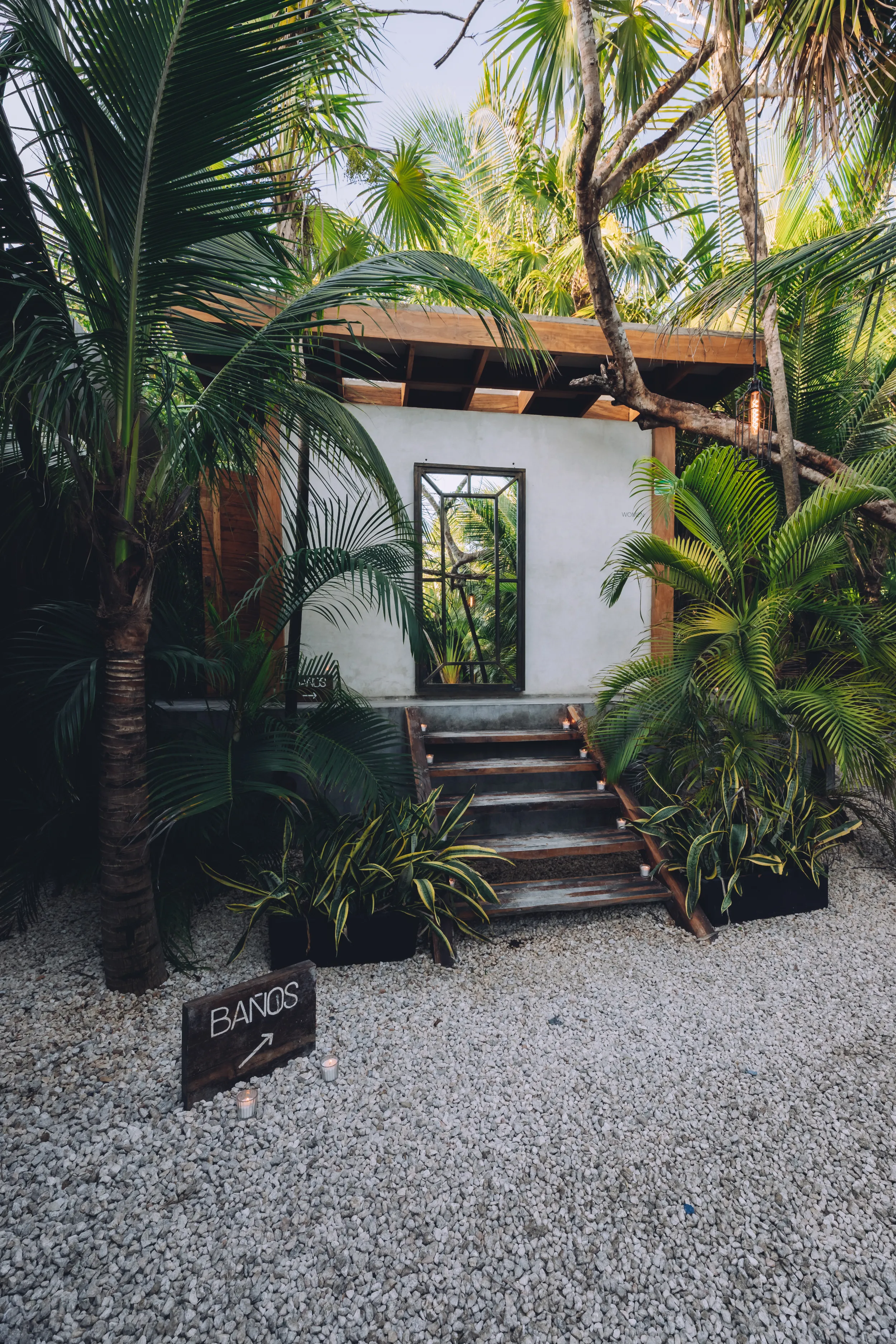 Exterior view of the restroom structure surrounded by dense tropical vegetation and palm trees in the jungle setting.