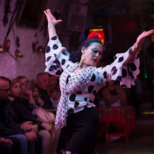 Špilje Sacromonte Los Tarantos: Flamenco show s pićem i opcionalnom večerom – ulaznice u Granadi