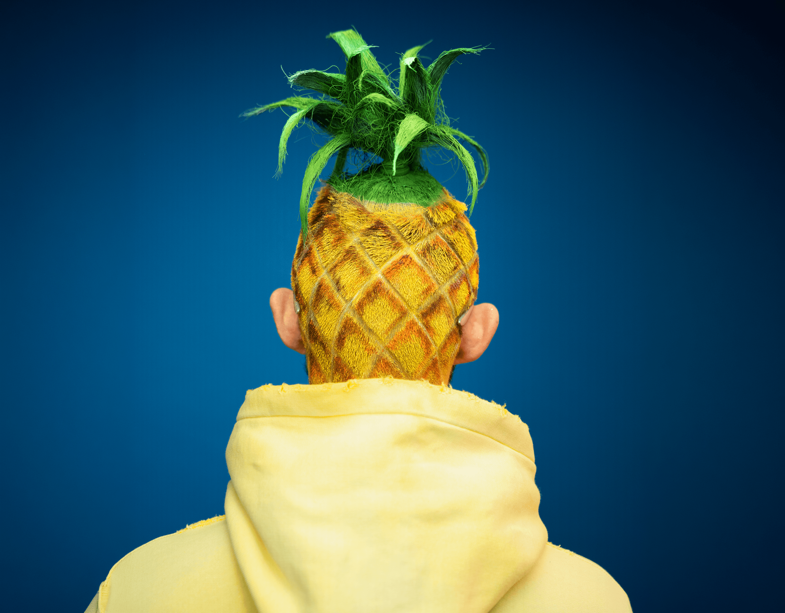 Person with pineapple-inspired hairstyle and fashion styling photographed against a blue studio background for ALDI Nord’s nutrition campaign.