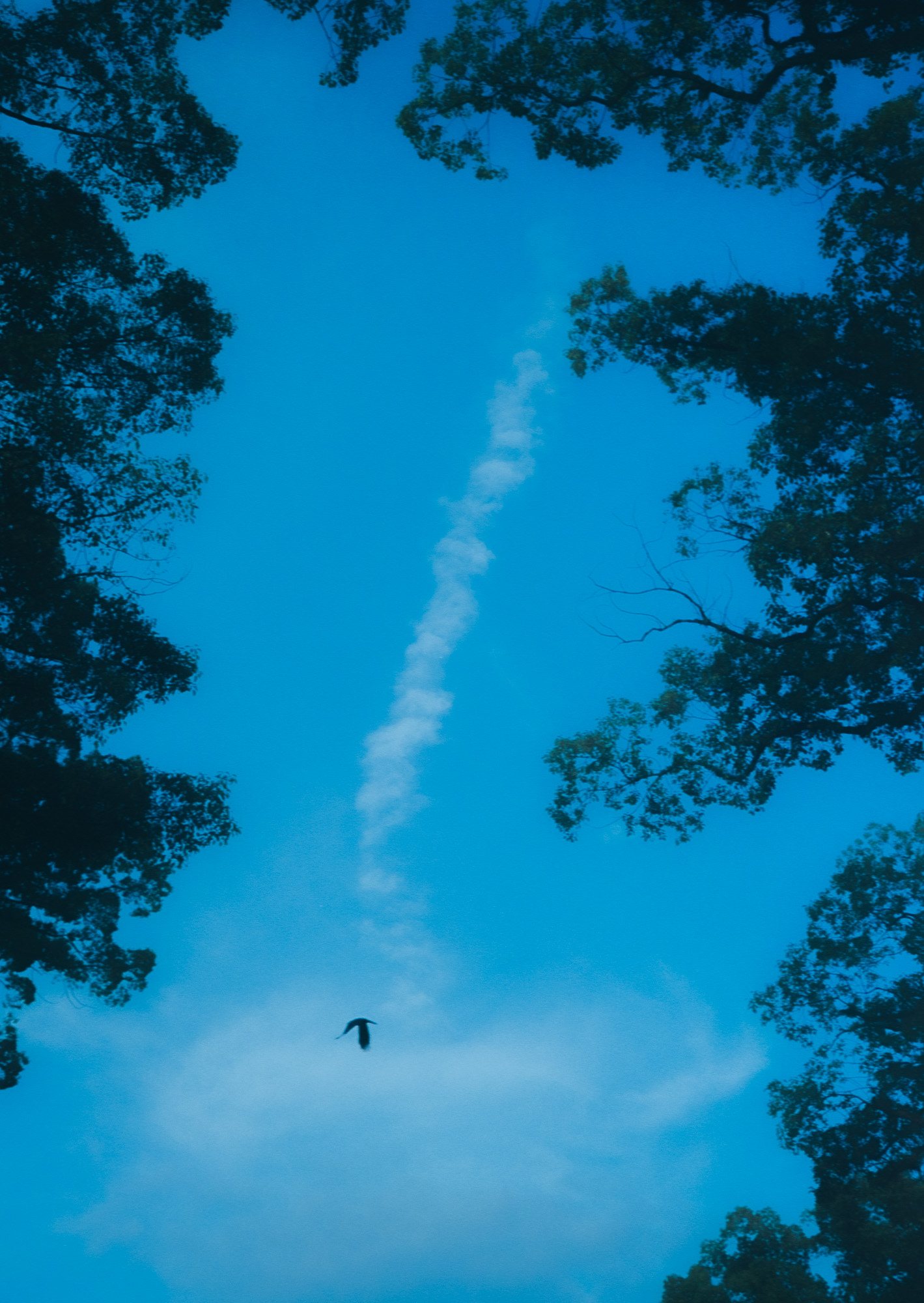 Taisei Matsumoto, 2024 exhibition work 024