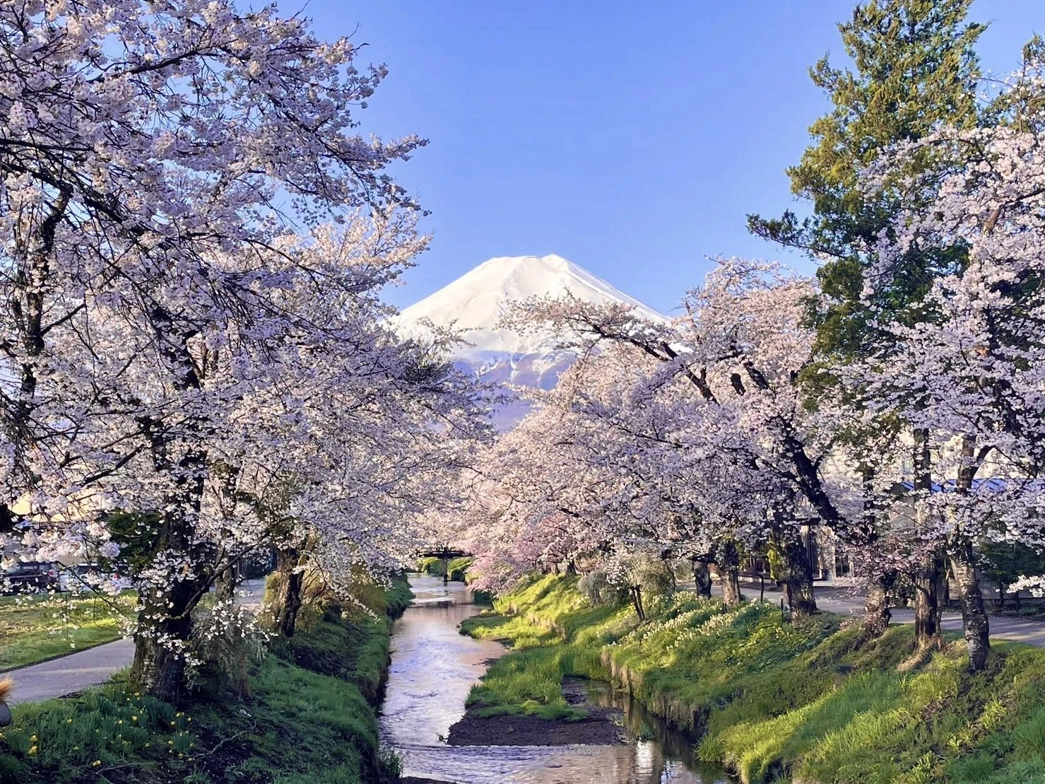 Japan Tour Package 